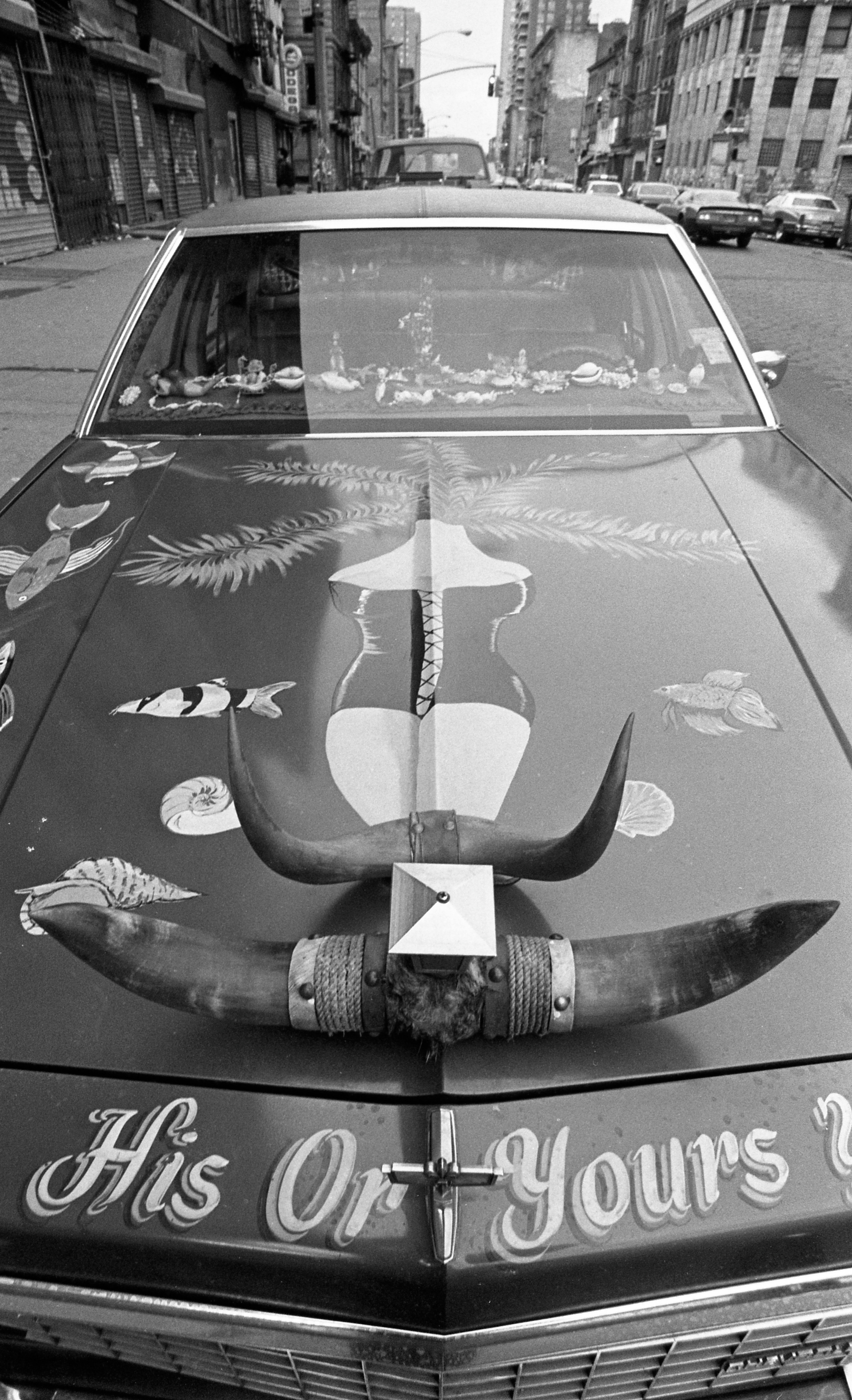 Nowy Jork — 1982-1984