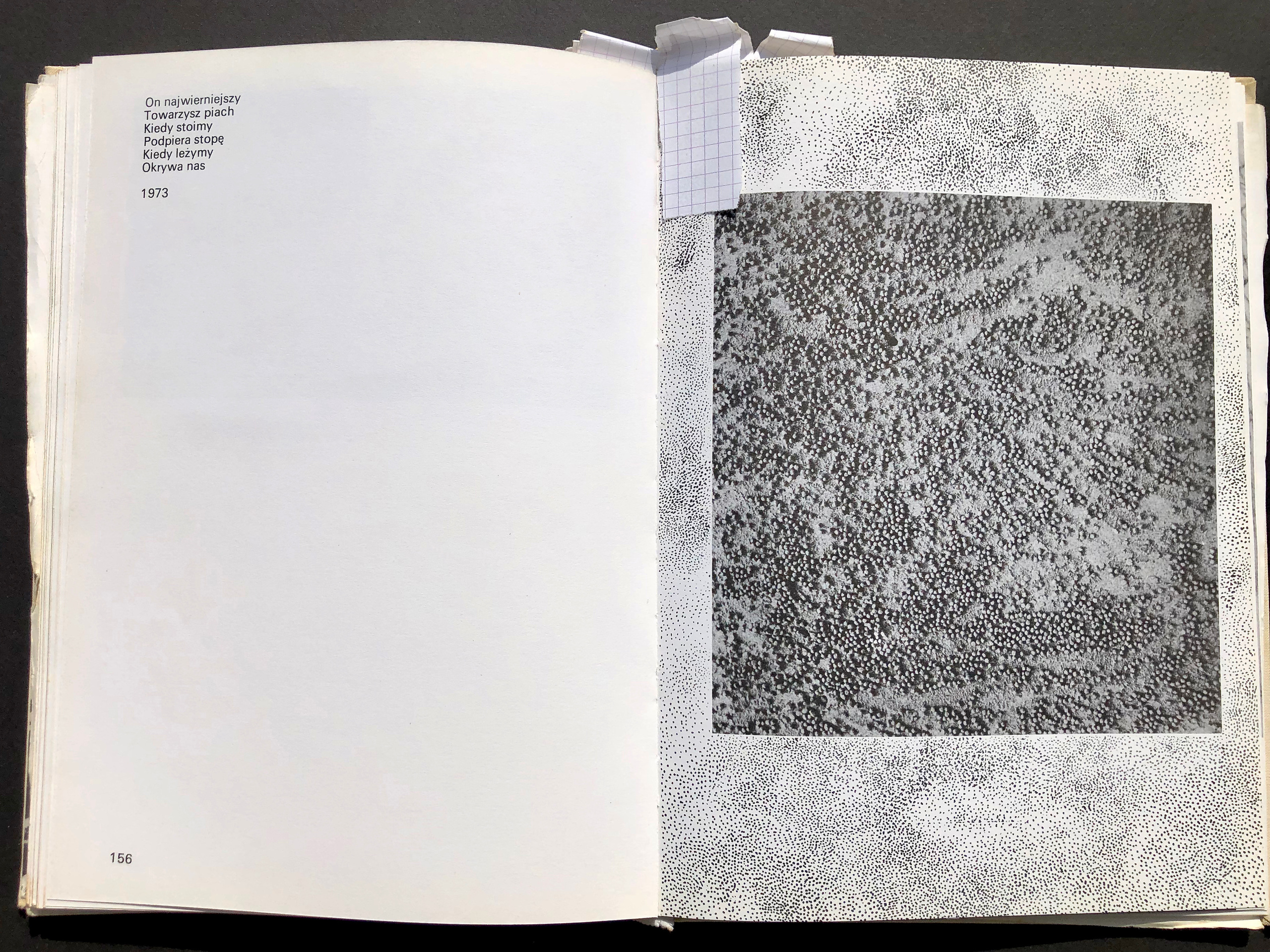 “jak”. Andrzej Strumillo