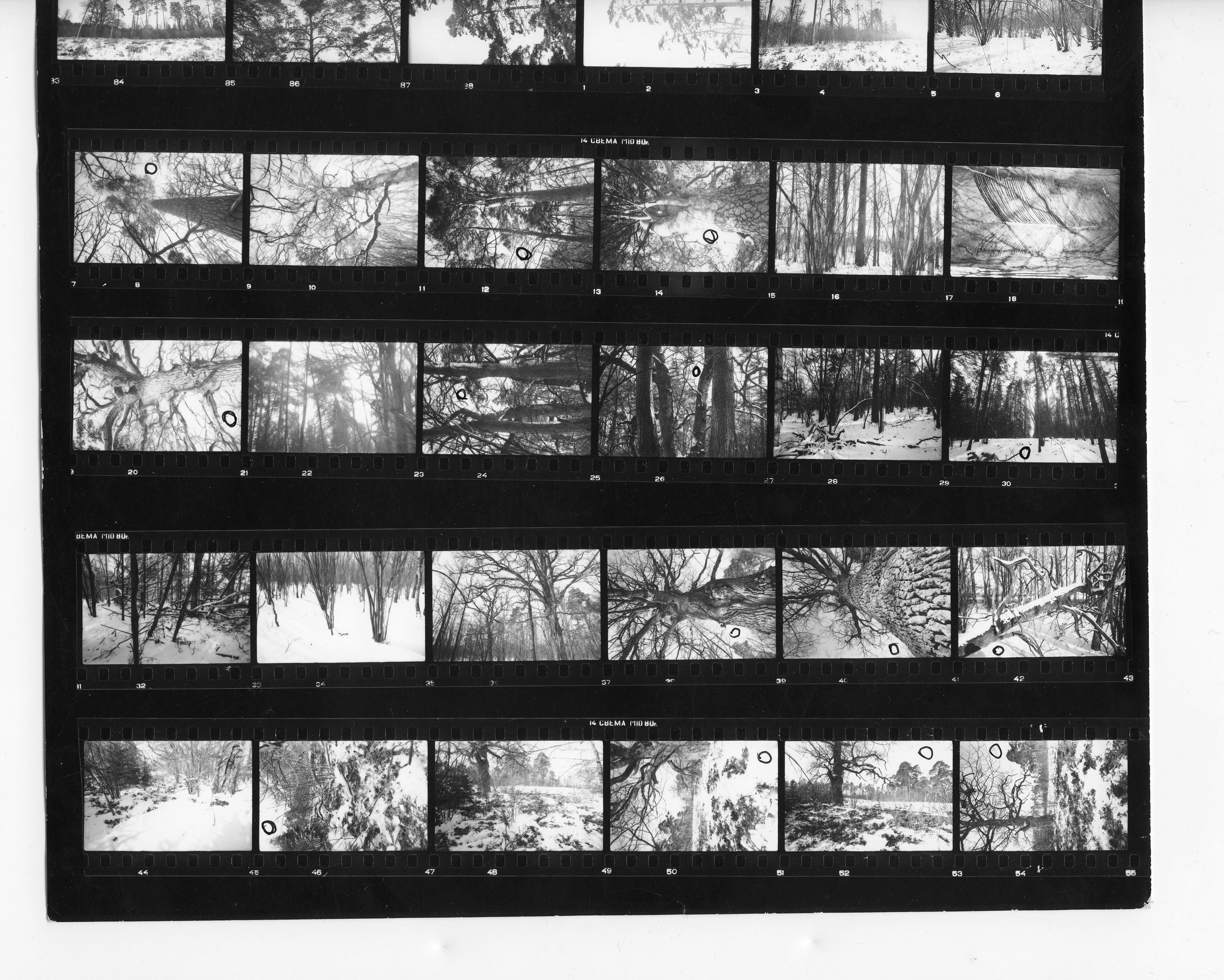 Xxx. Andrzej Strumiłło - Wybitny polski artysta