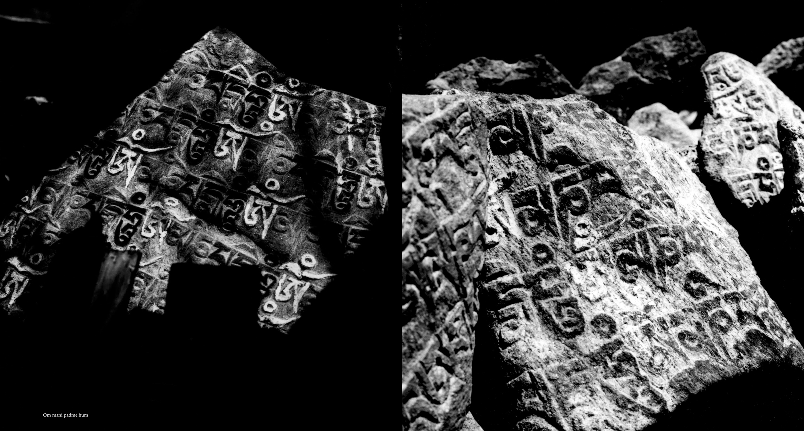 “Asia Sacrum”. Andrzej Strumillo