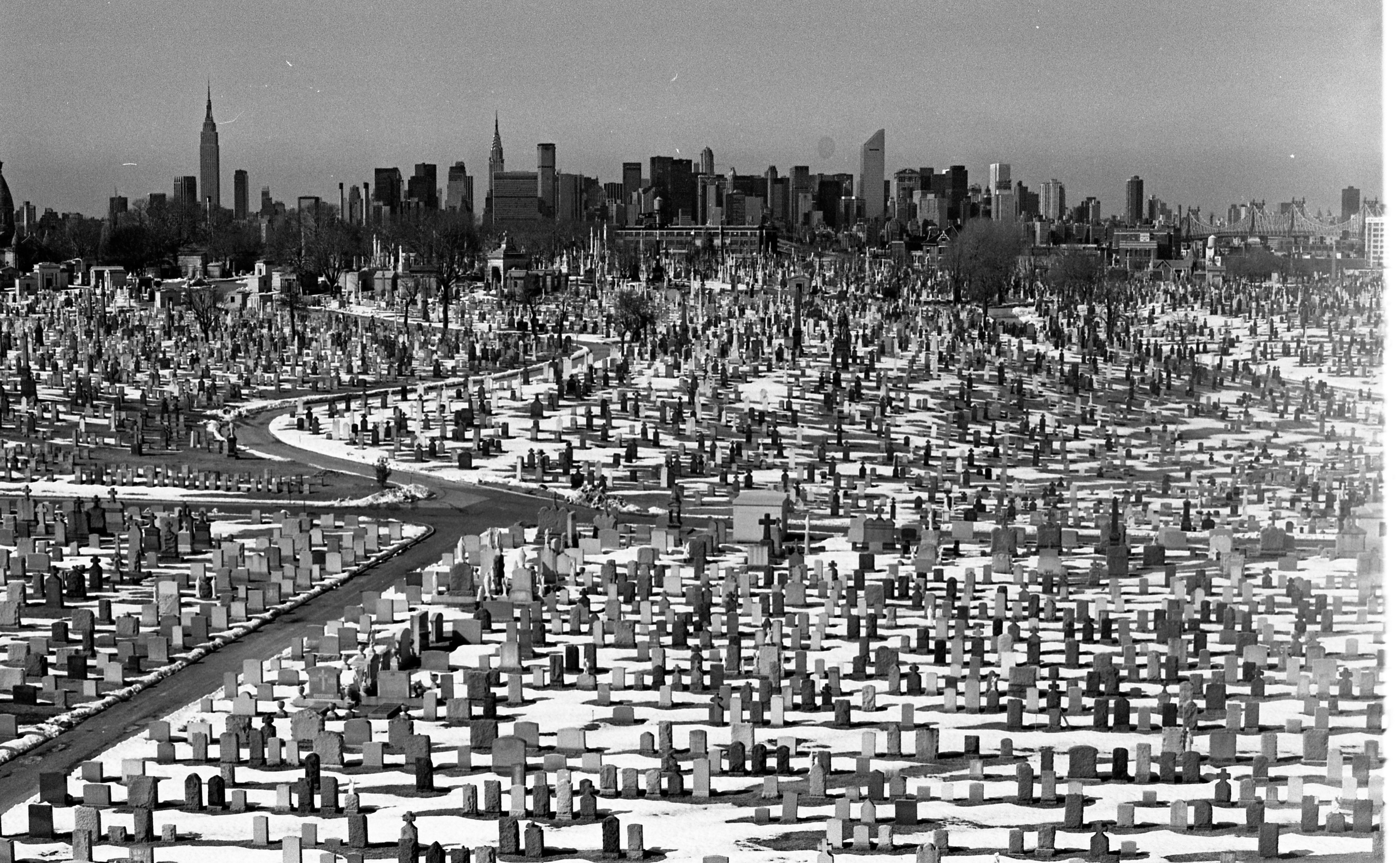 Nowy Jork — 1982-1984