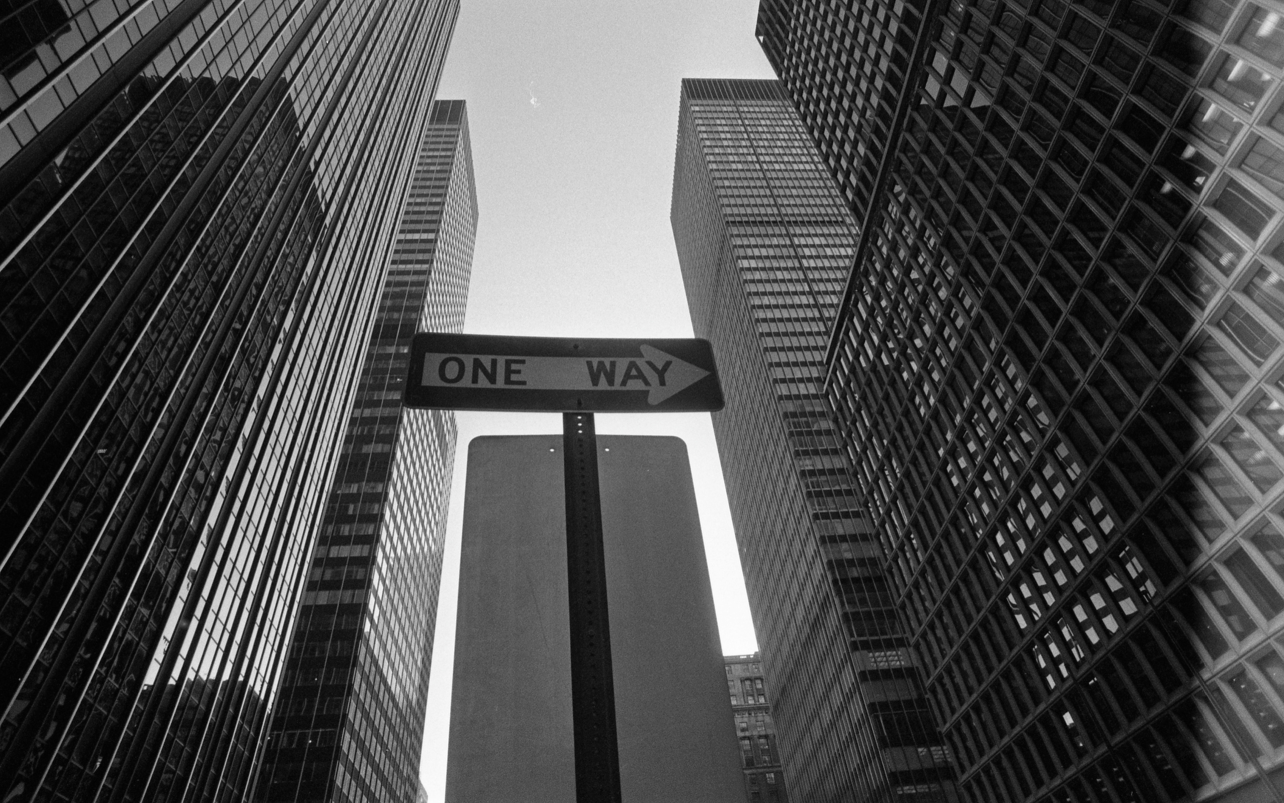 Nowy Jork — 1982-1984