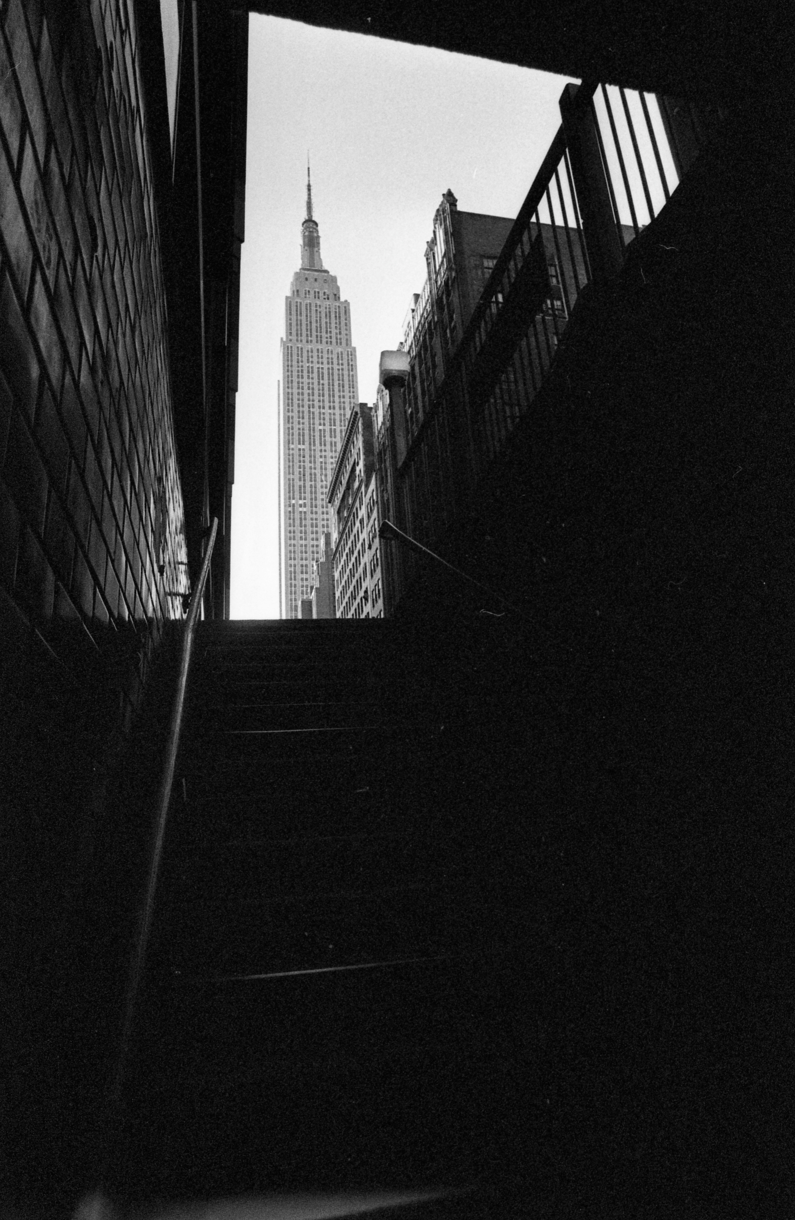 Nowy Jork — 1982-1984