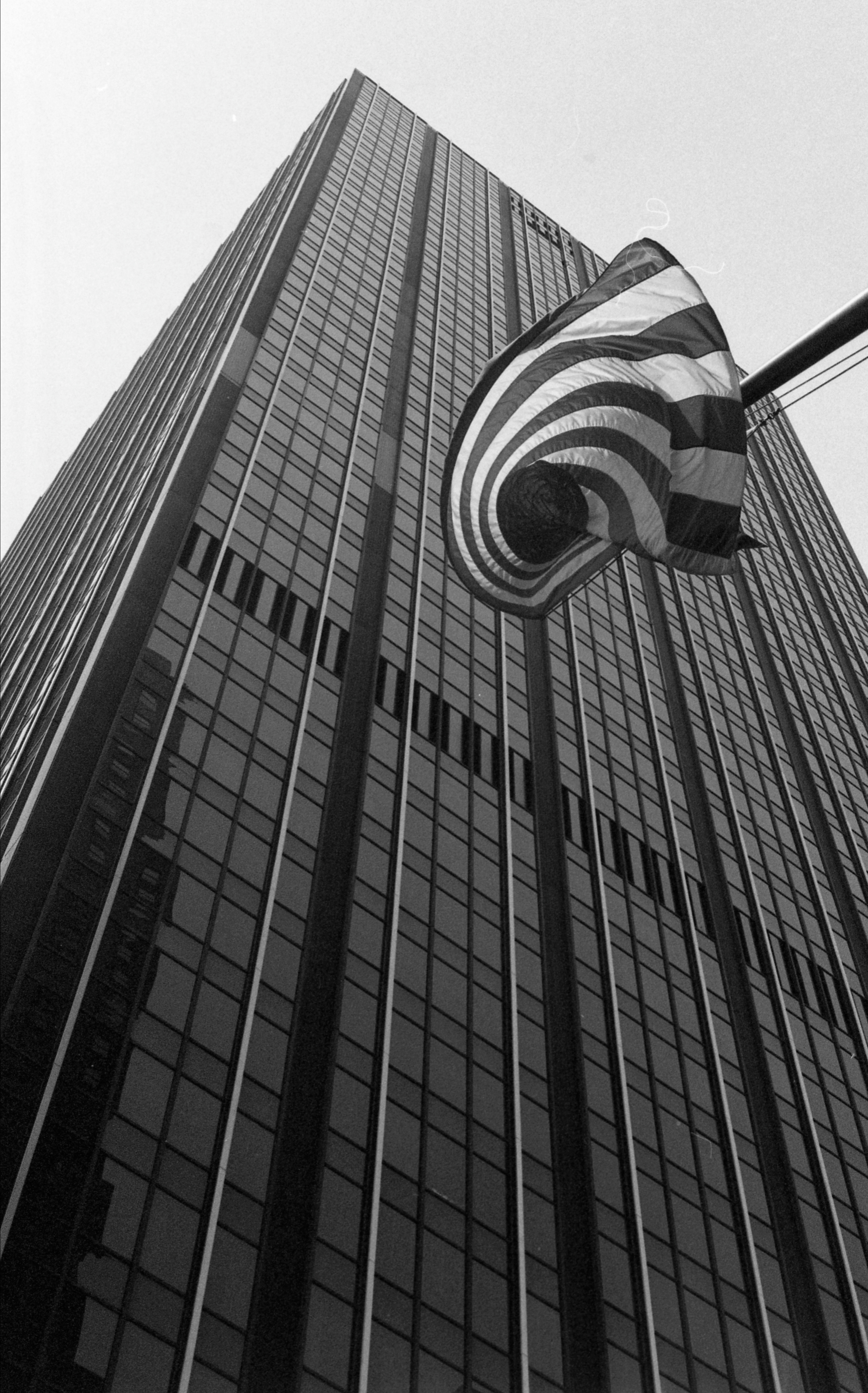 Nowy Jork — 1982-1984