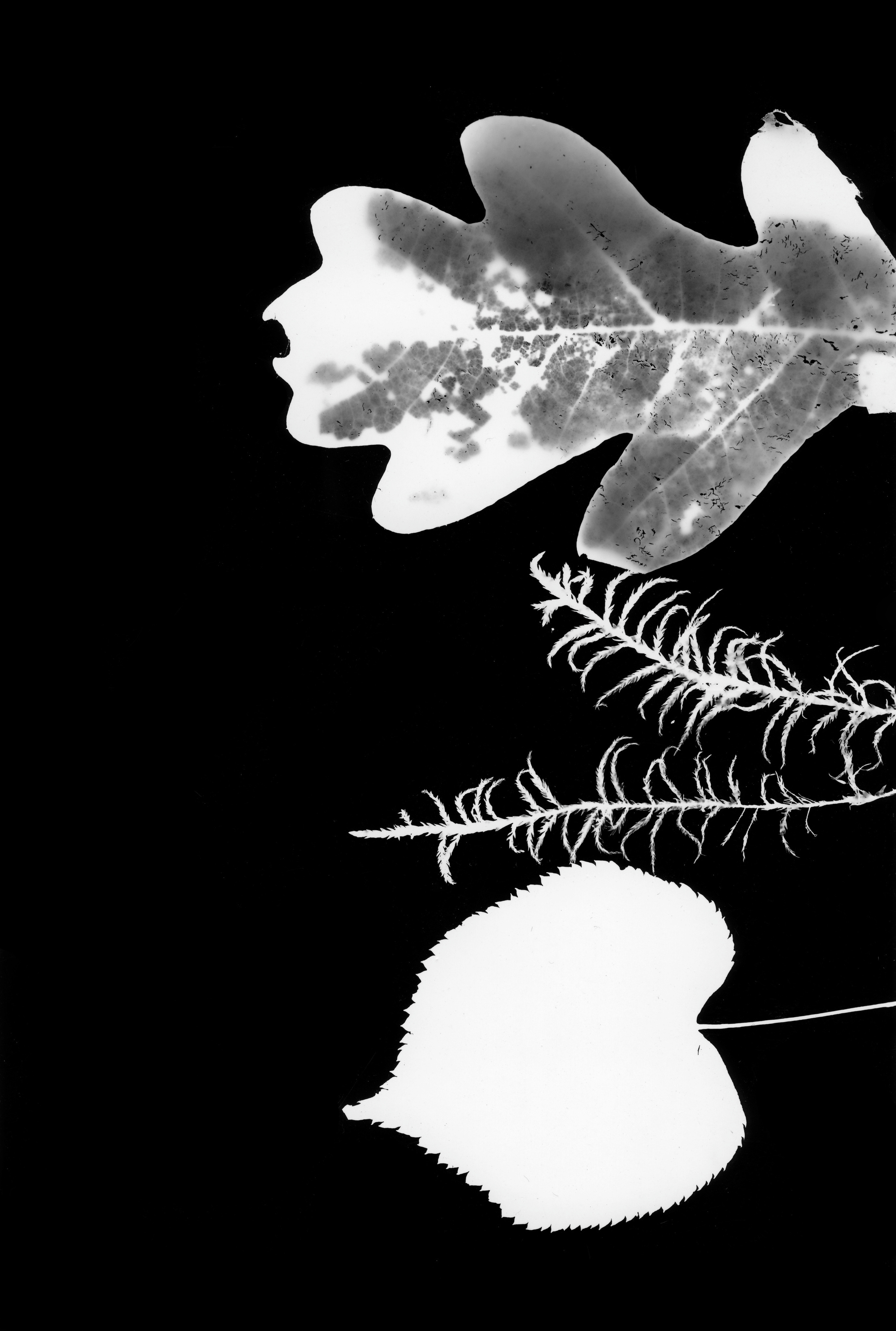 Ilustracja. Andrzej Strumiłło - Wybitny polski artysta