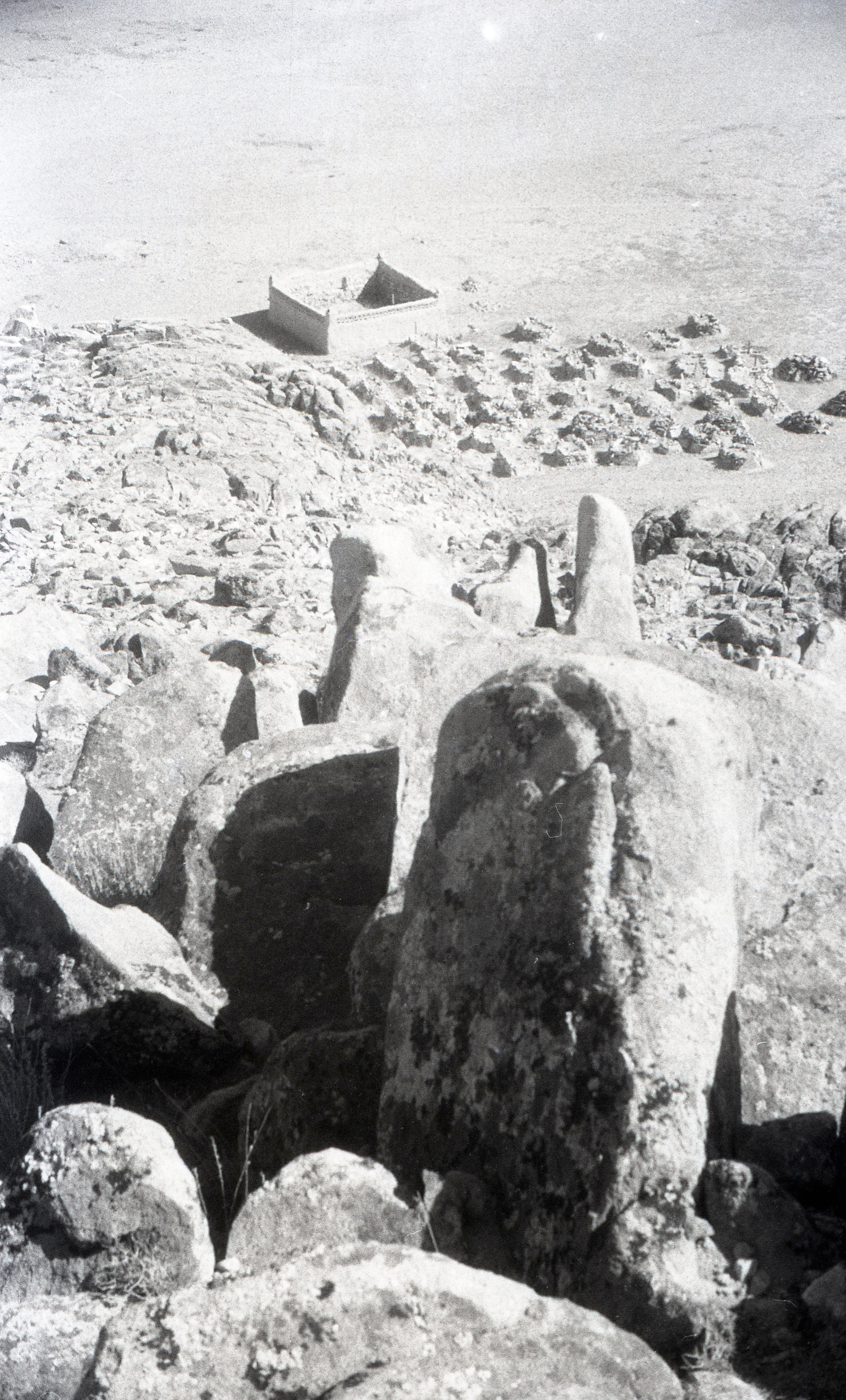 Chiny, Mongolia. Andrzej Strumiłło - Wybitny polski artysta