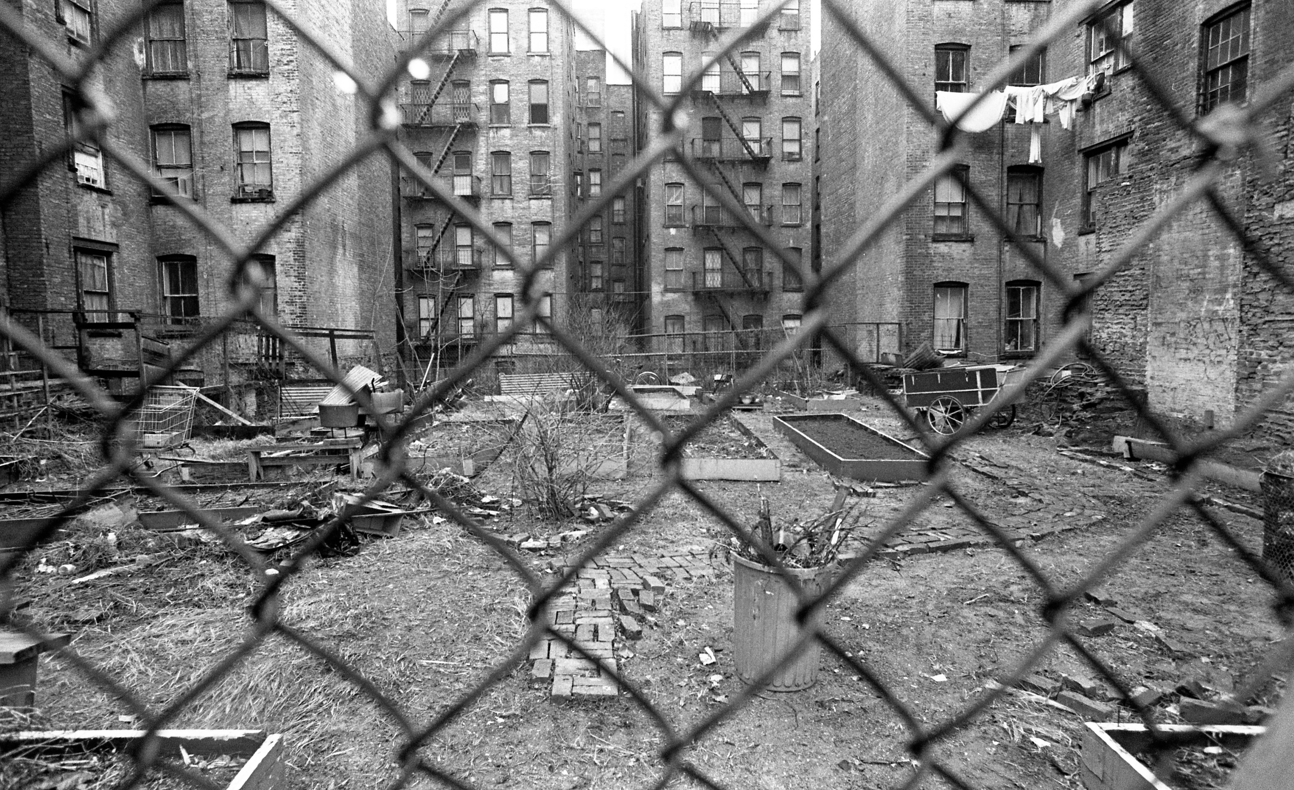 Nowy Jork — 1982-1984