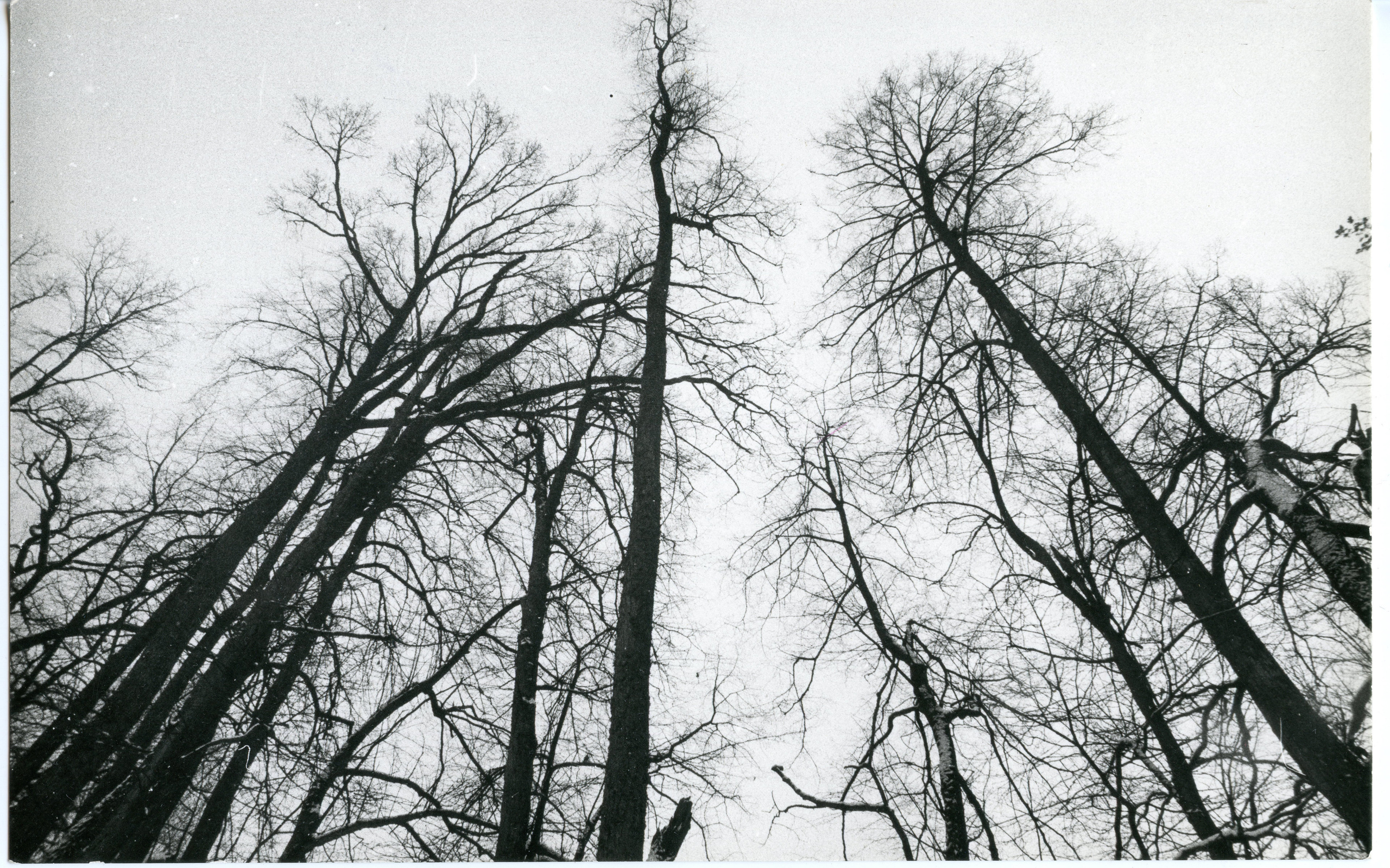 Xxx. Andrzej Strumiłło - Wybitny polski artysta