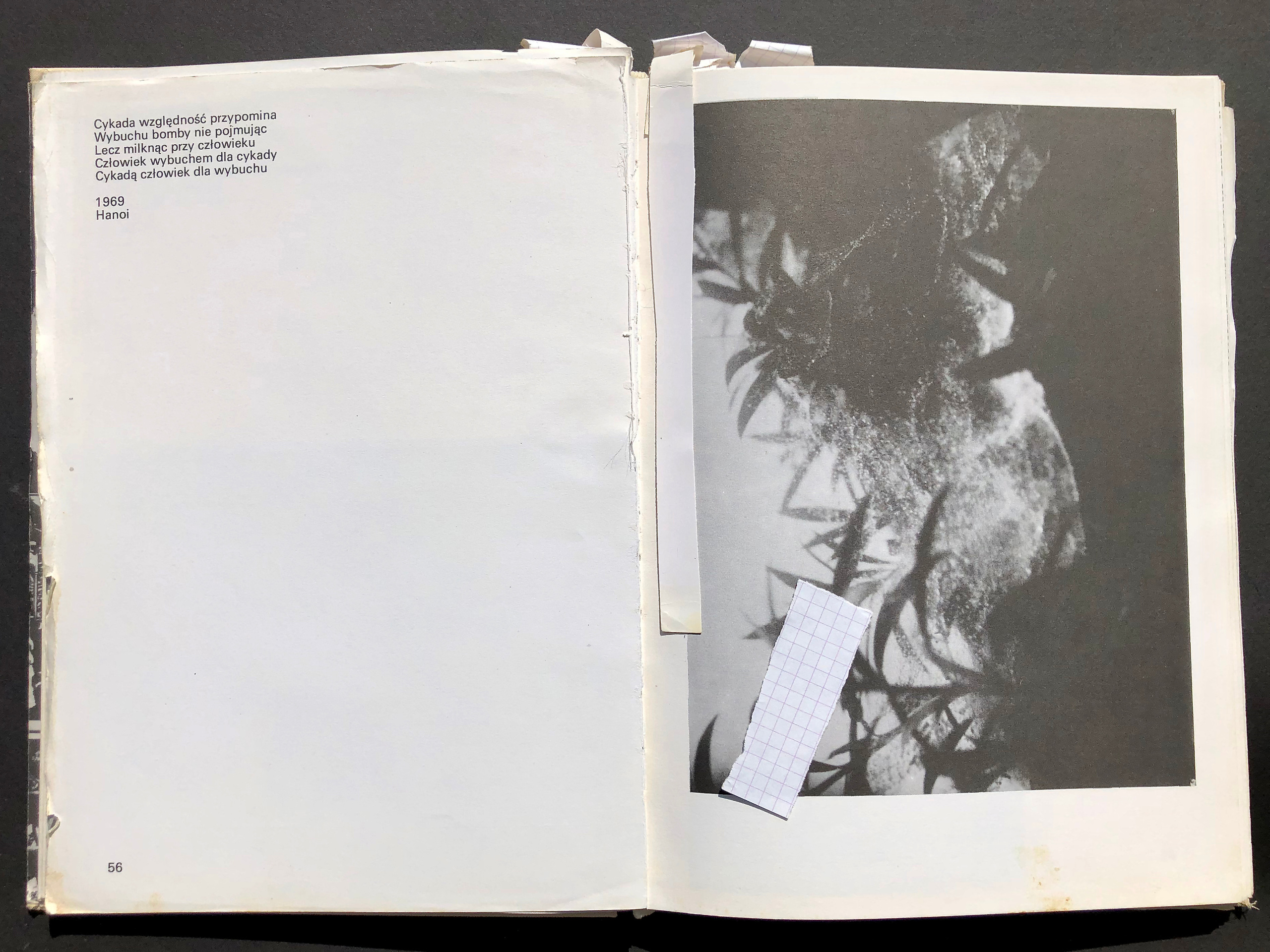 “jak”. Andrzej Strumillo