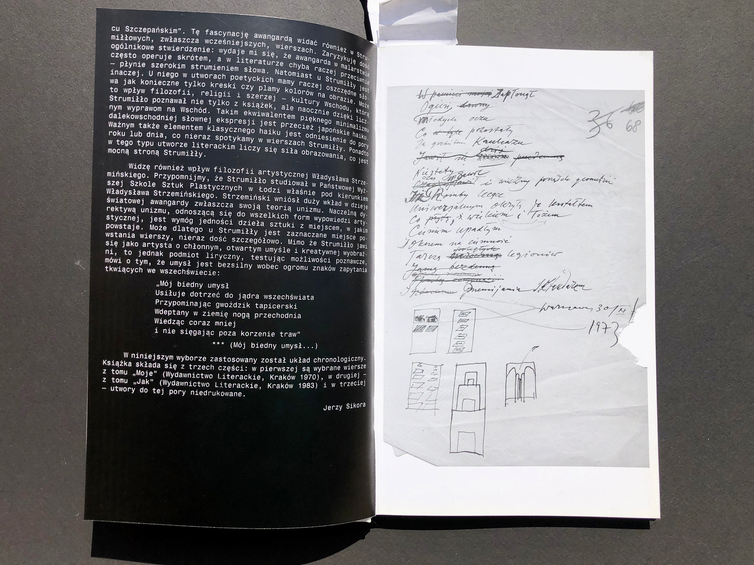 „JA”. Andrzej Strumiłło - Wybitny polski artysta