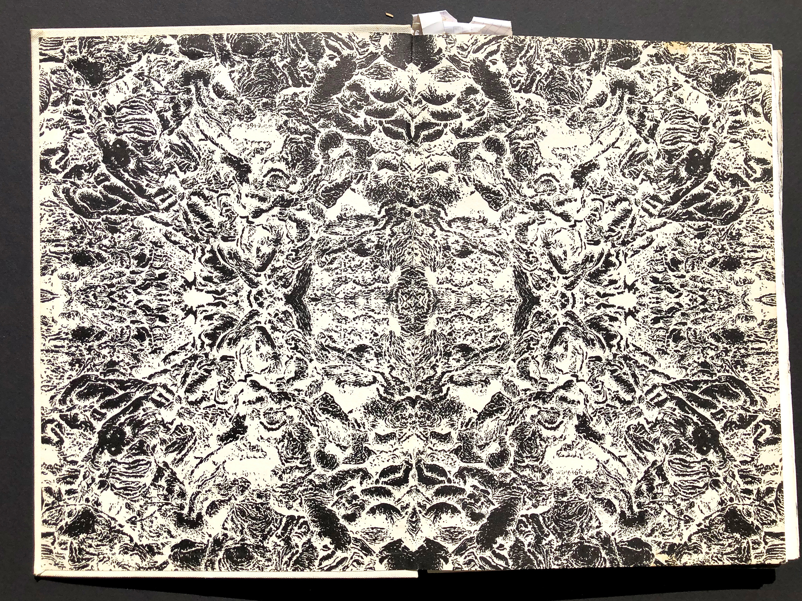 “jak”. Andrzej Strumillo