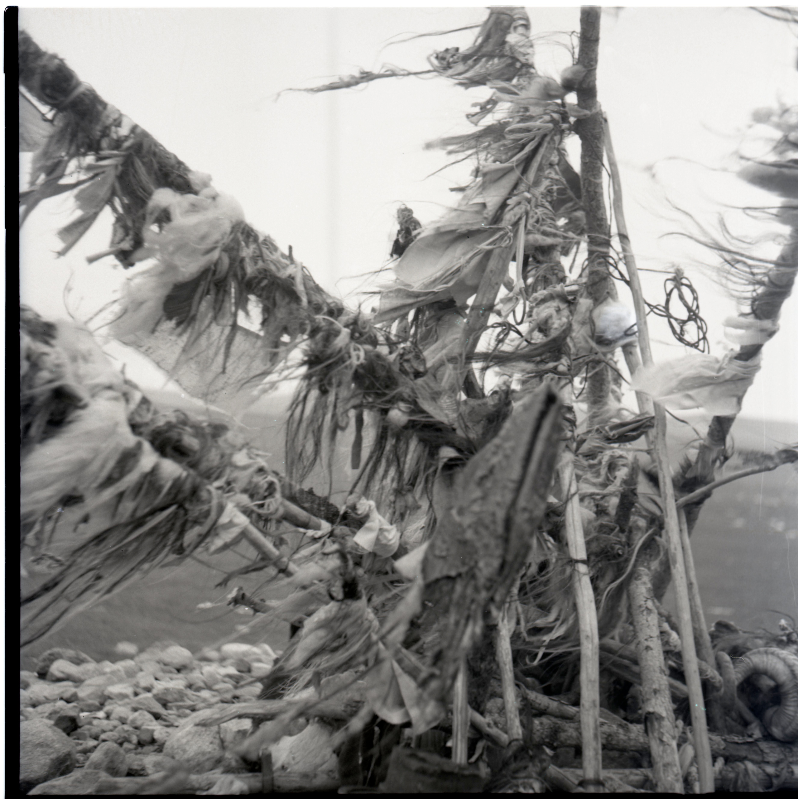 Chiny, Mongolia. Andrzej Strumiłło - Wybitny polski artysta