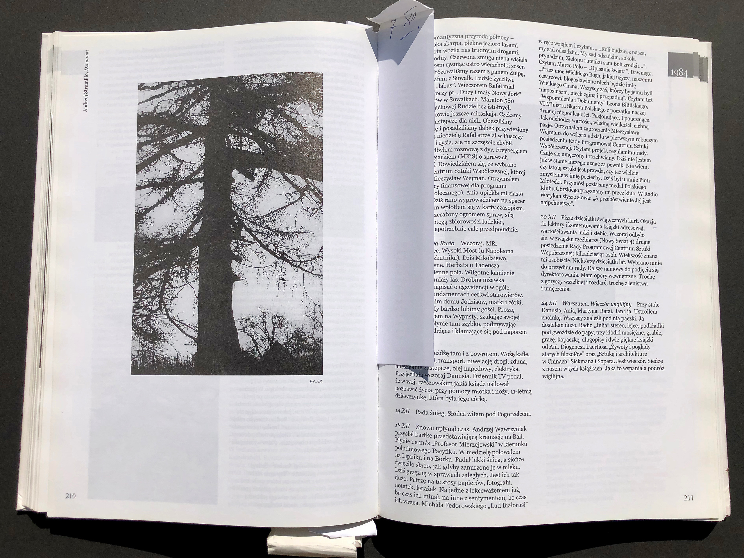 “FACTUM EST”. Andrzej Strumillo