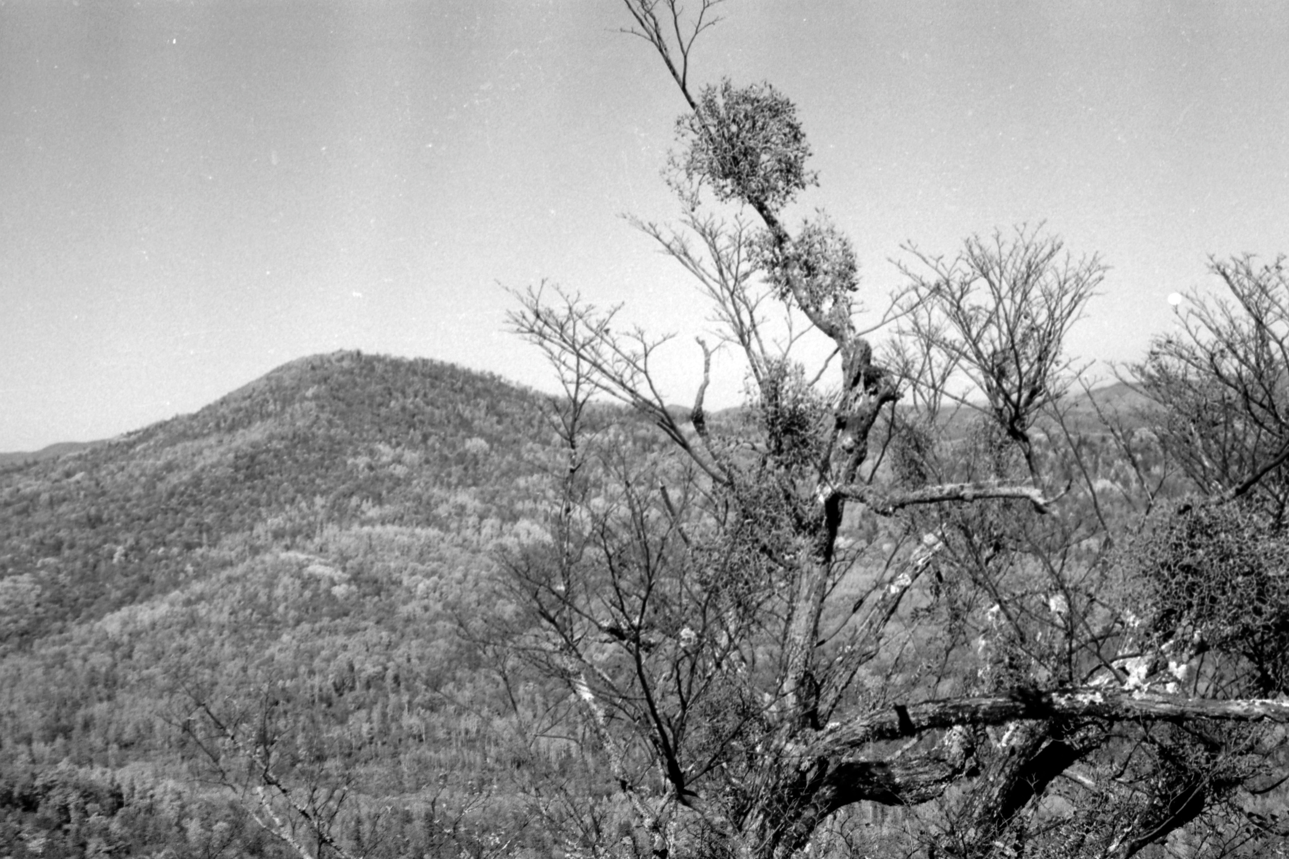 Siberia 1959. Andrzej Strumillo