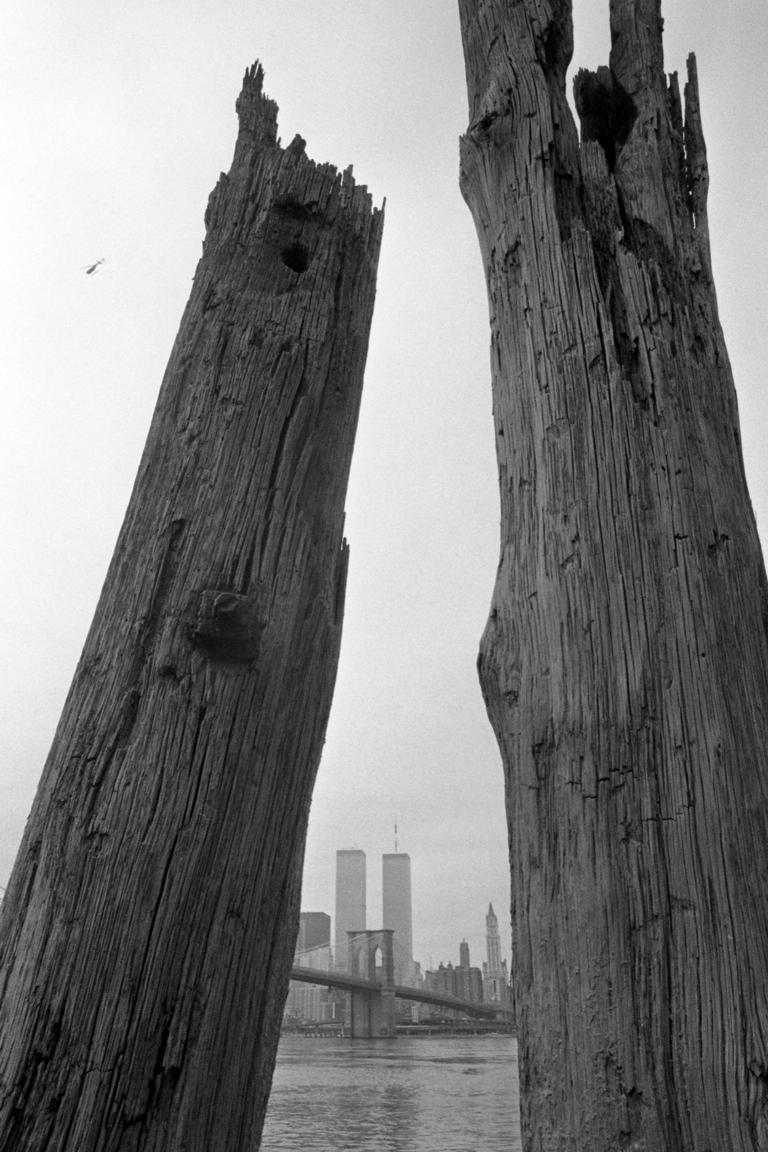 Nowy Jork — 1982-1984