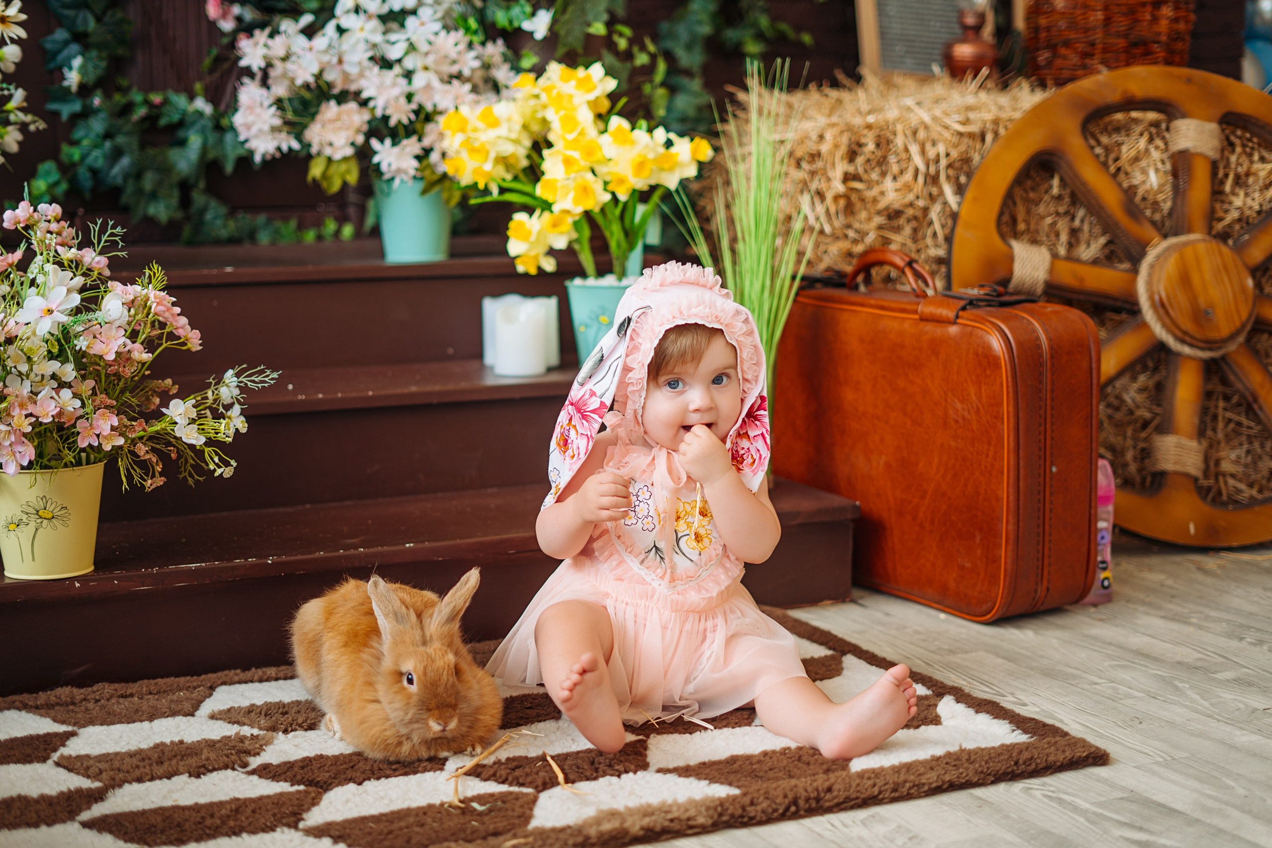 Camelia. Diana Muntean Photography