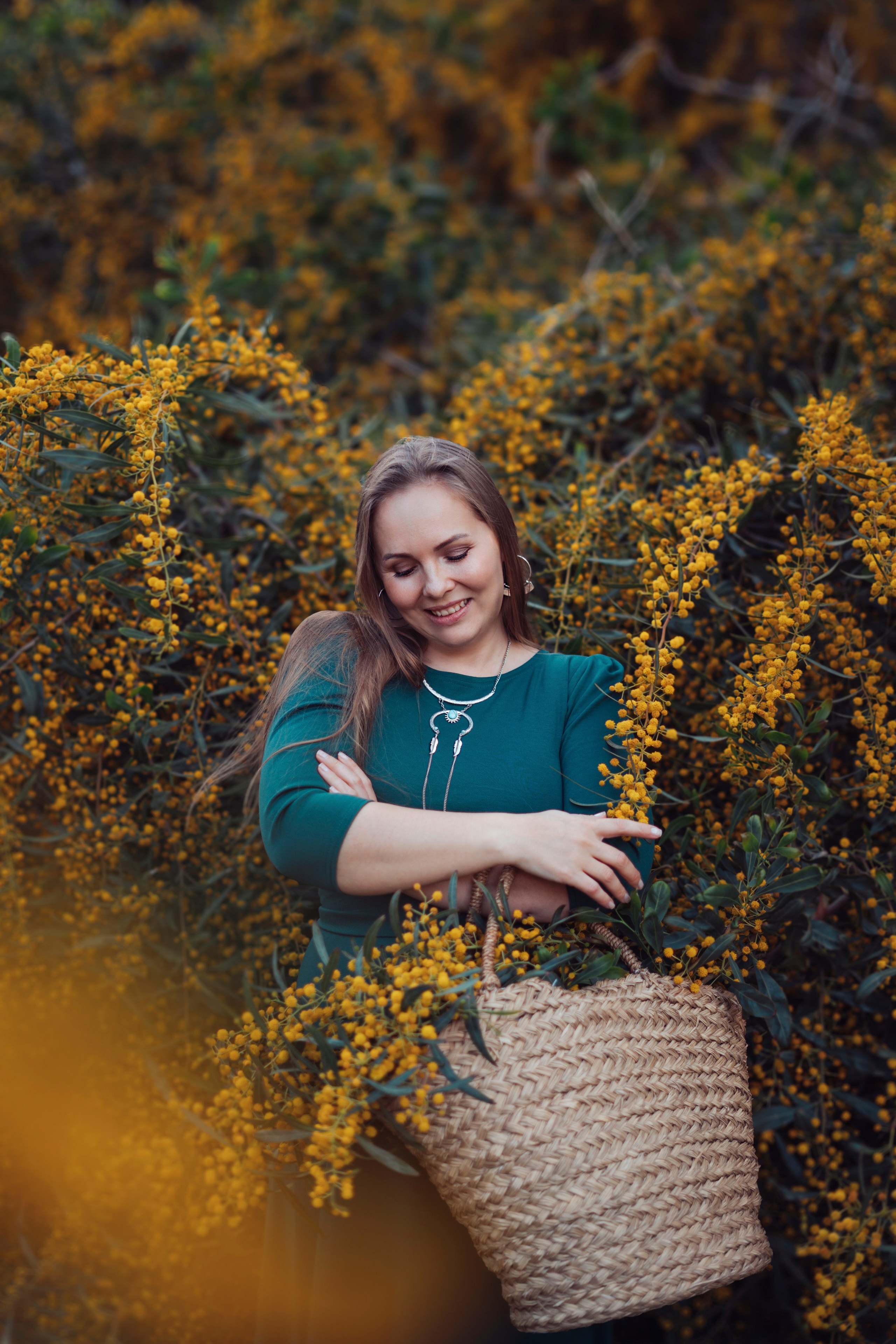 Мимоза. Анастасия Благова — Твой фотограф в Малаге 🇪🇸