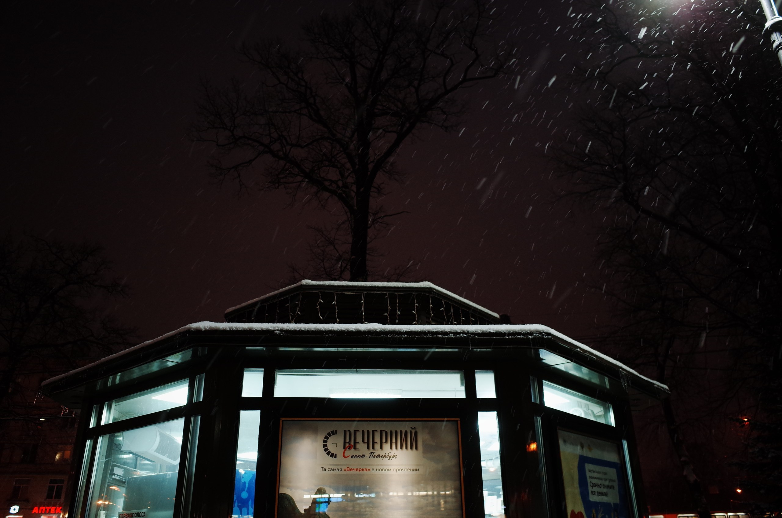 Водный ветер господина Петера. Виктория Дини. Арт-фотография