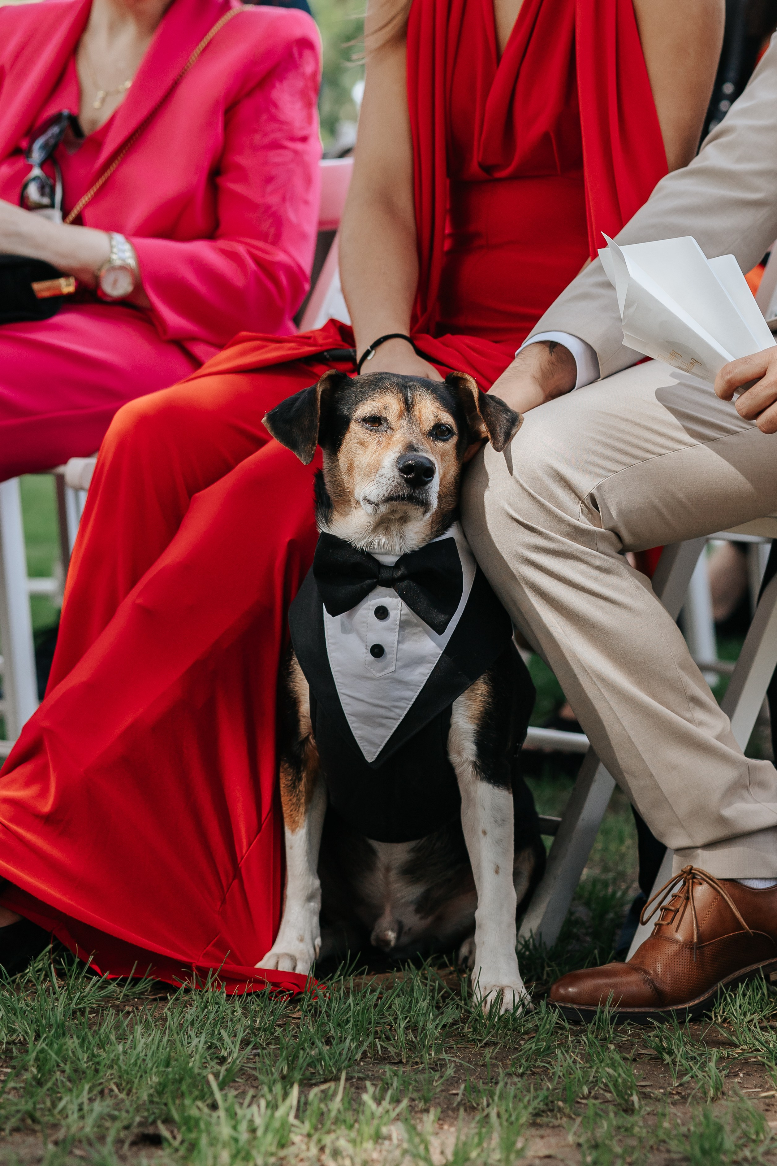Marta+Adria, 27.09.2025, Can Caballe. Fotógrafa de bodas en Cataluña