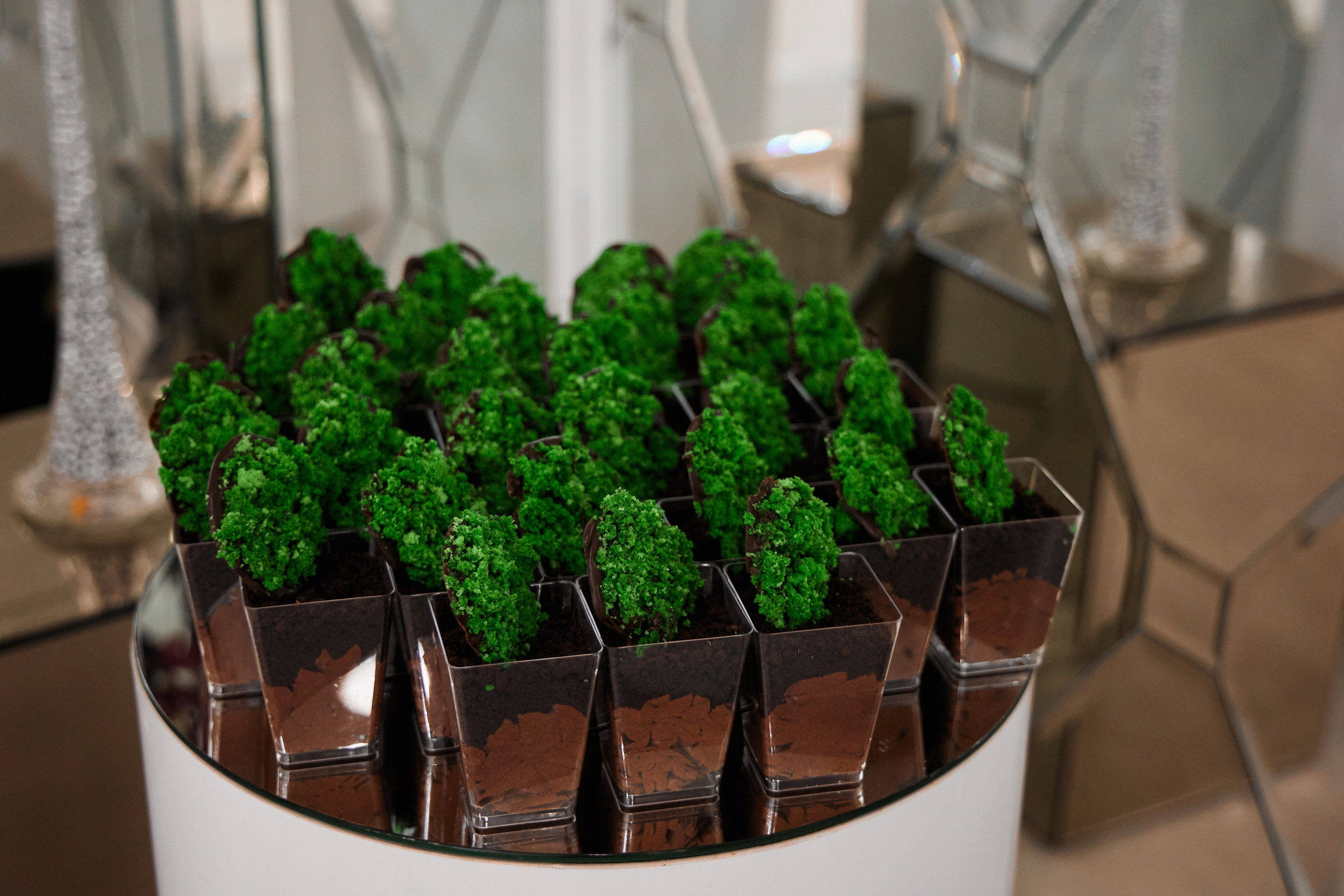 DENISA-LUCREȚIA | Oscar, Bălți 2024