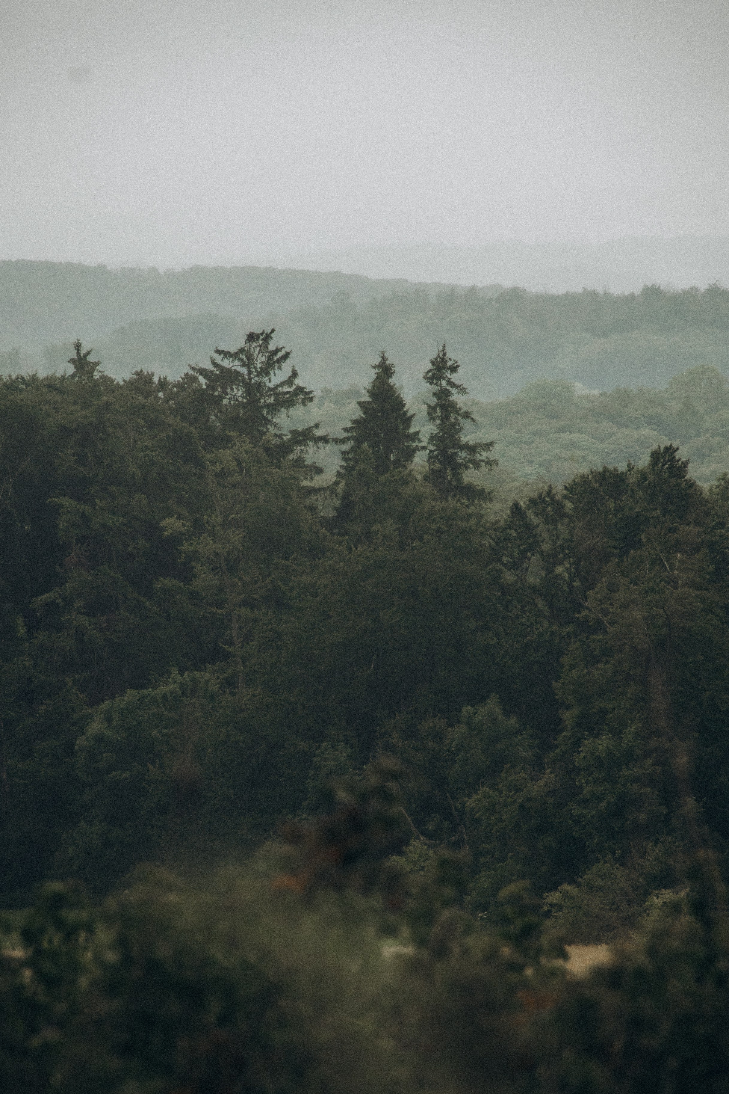 Achtsame Fotografin| Margarita Mayer
