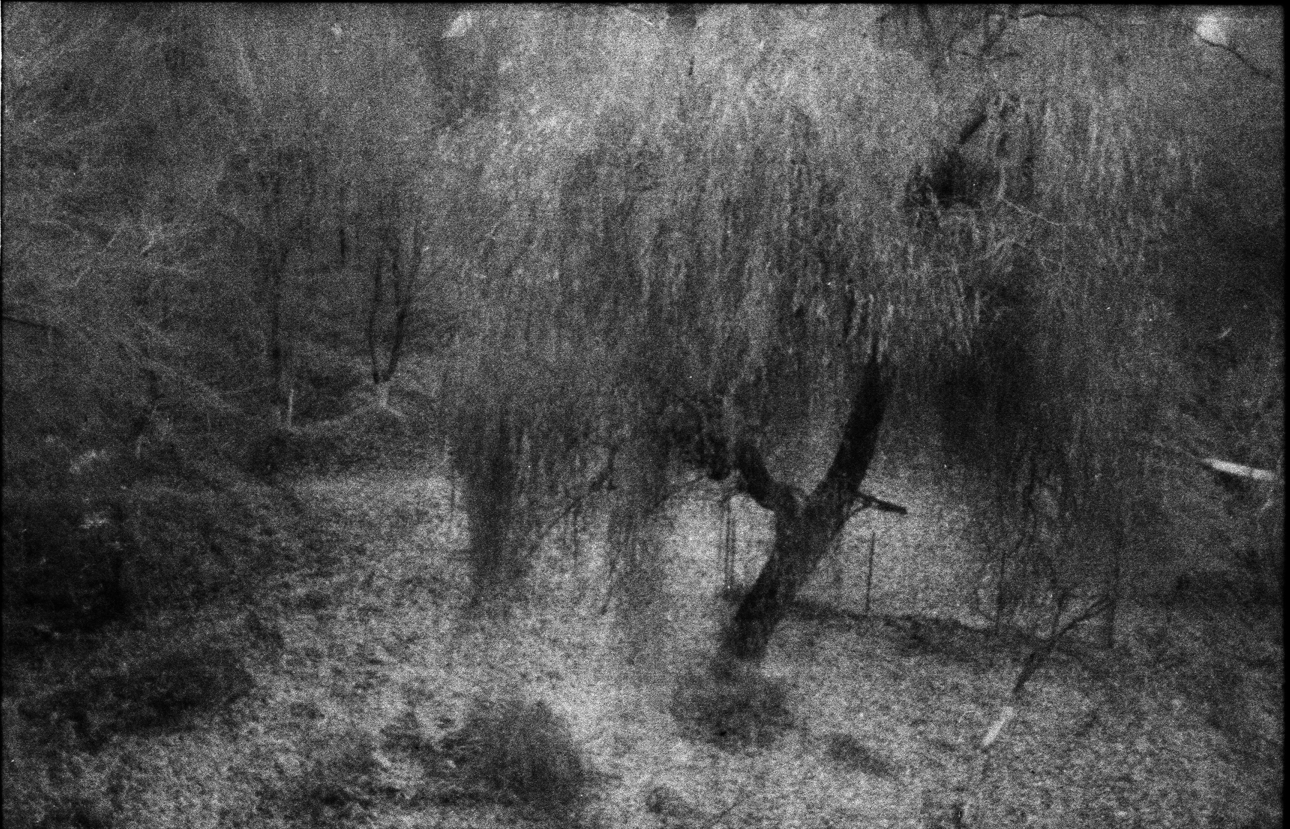 Silent light. Natalia Parfenova visual artist film photographer