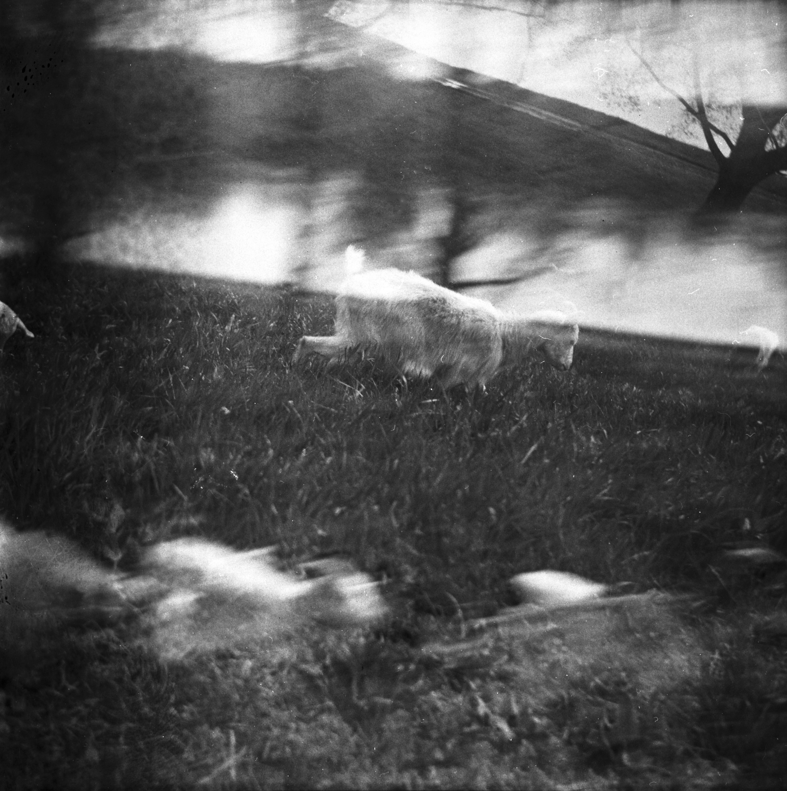 Tender Infinite Souls. Natalia Parfenova visual artist film photographer