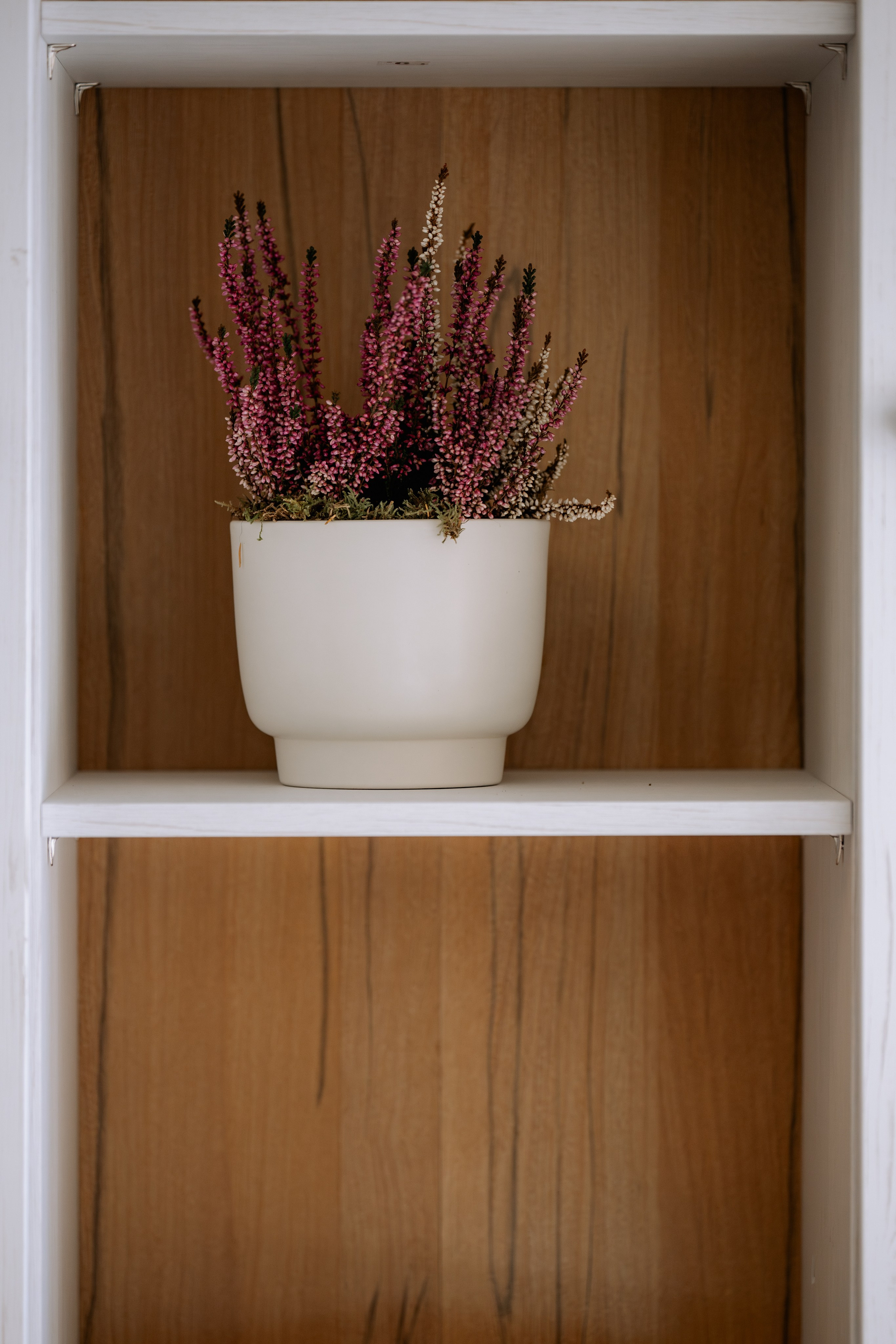 Chalette Gourmet. Proud Vision Weddings | Wedding Photography & Film — Servicii profesionale Foto Video Nunta Iasi