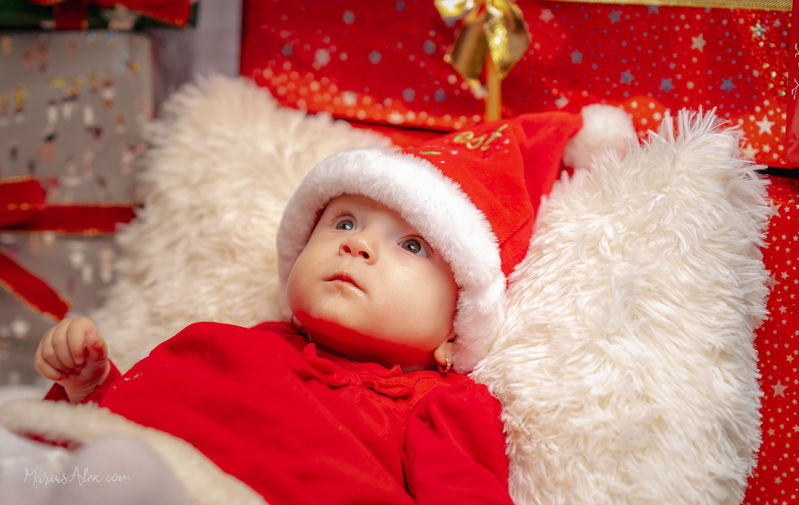 Ședințe foto de Crăciun. Marius Alex fotograf de eveniment si portret din Suceava