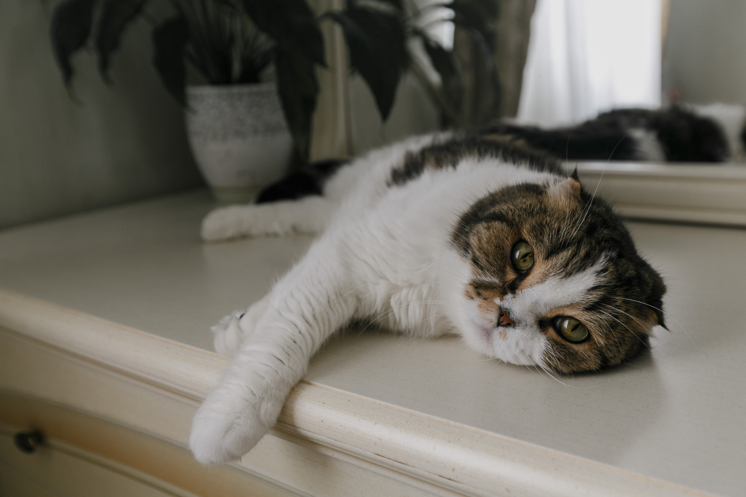 Sesión de fotos de una princesita. Fotógrafo de retrato, familia y reportajes en Valencia | España | Europa Vitalii Lumier