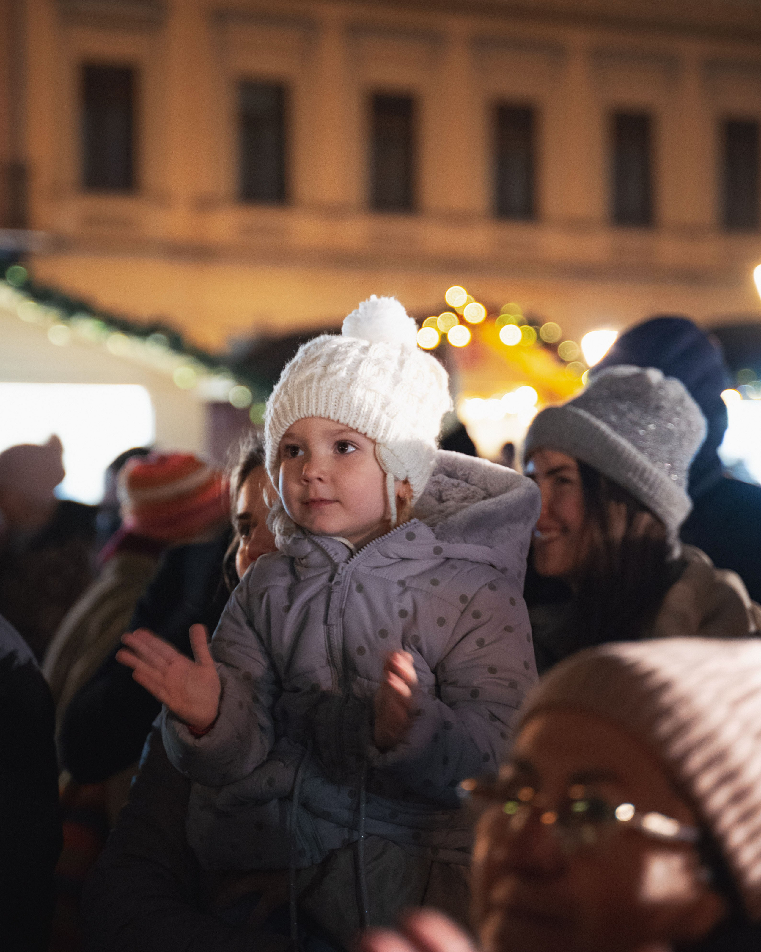 Novosadski Zimzolend. Жуков Студио