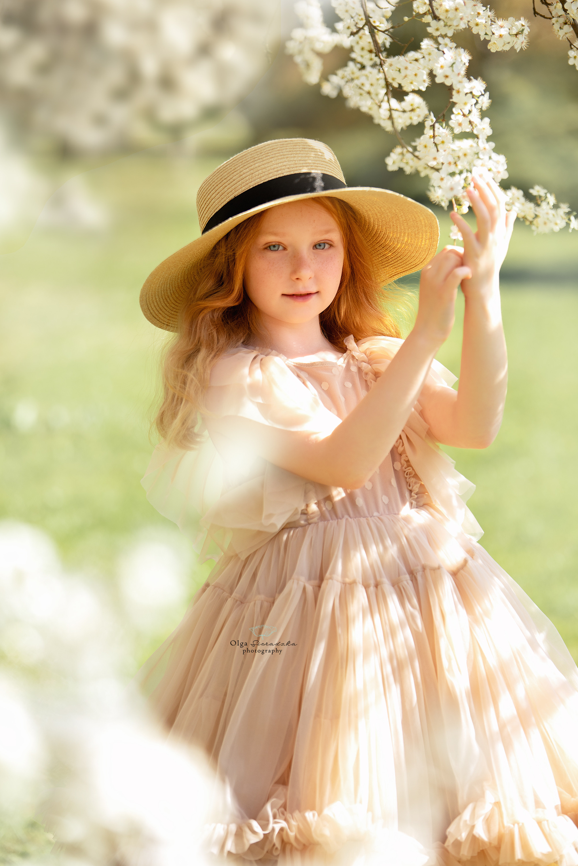 Oferta. Olga Sieradzka fotograf rodzinny, ciążowy i dziecięcy w Pile