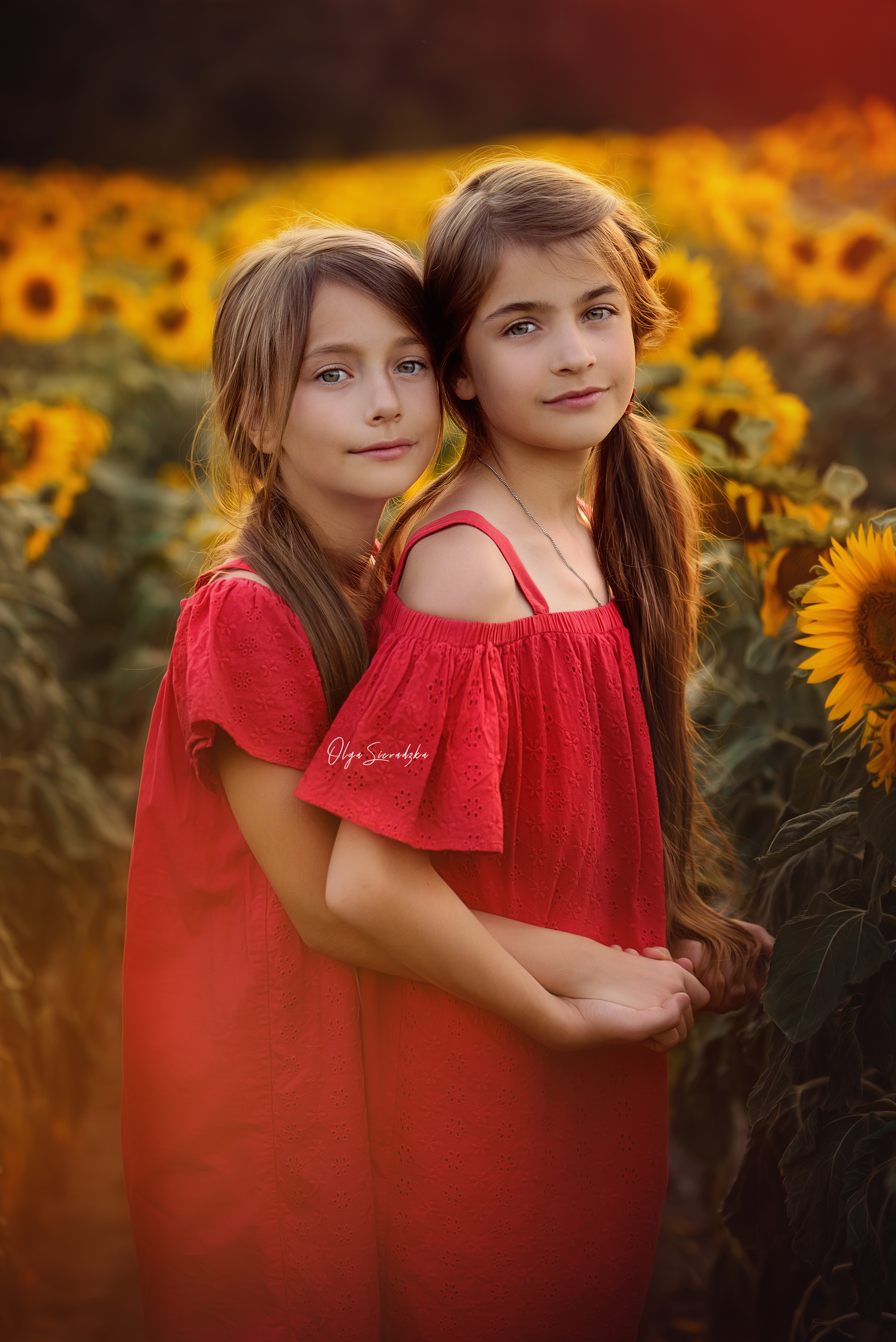 Oferta. Olga Sieradzka fotograf rodzinny, ciążowy i dziecięcy w Pile