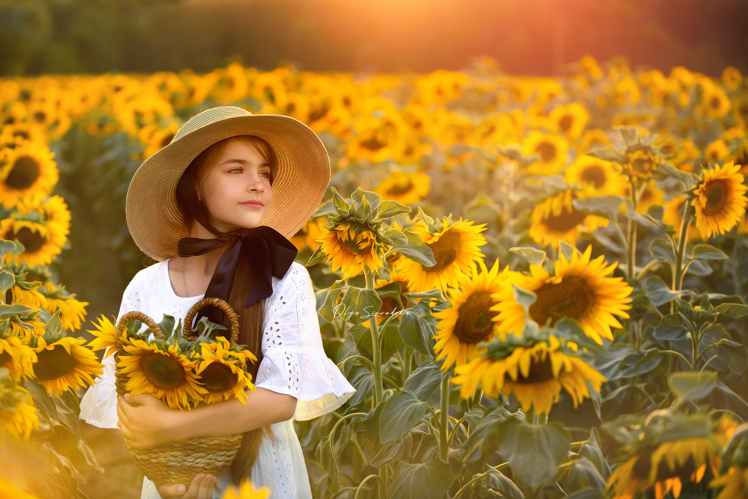 Bajka. Olga Sieradzka fotograf rodzinny, ciążowy i dziecięcy w Pile