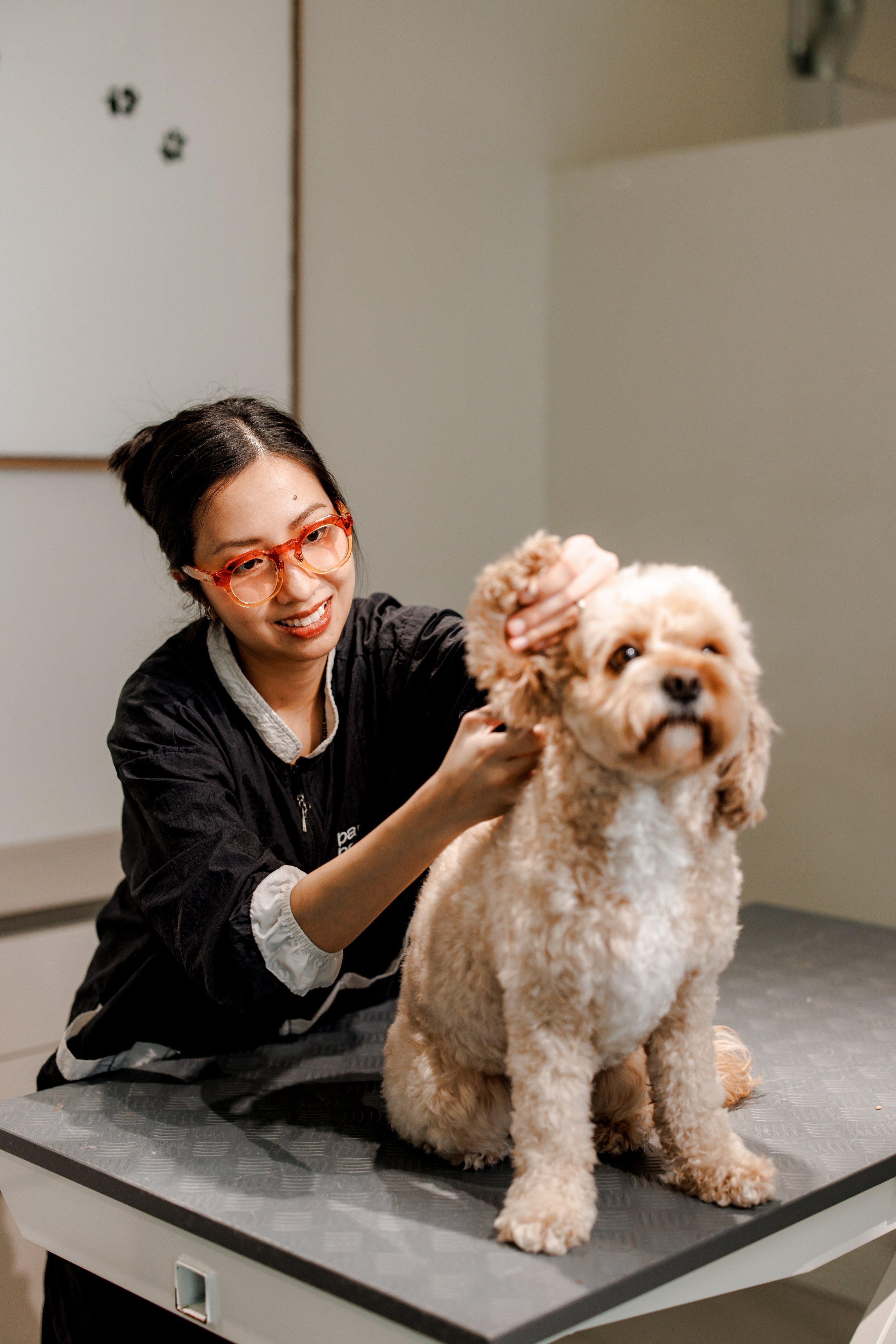 Bark & Bones. Familien- & Hochzeitsfotografin Schweiz. Valeria Diaz in Zürich und Umgebung