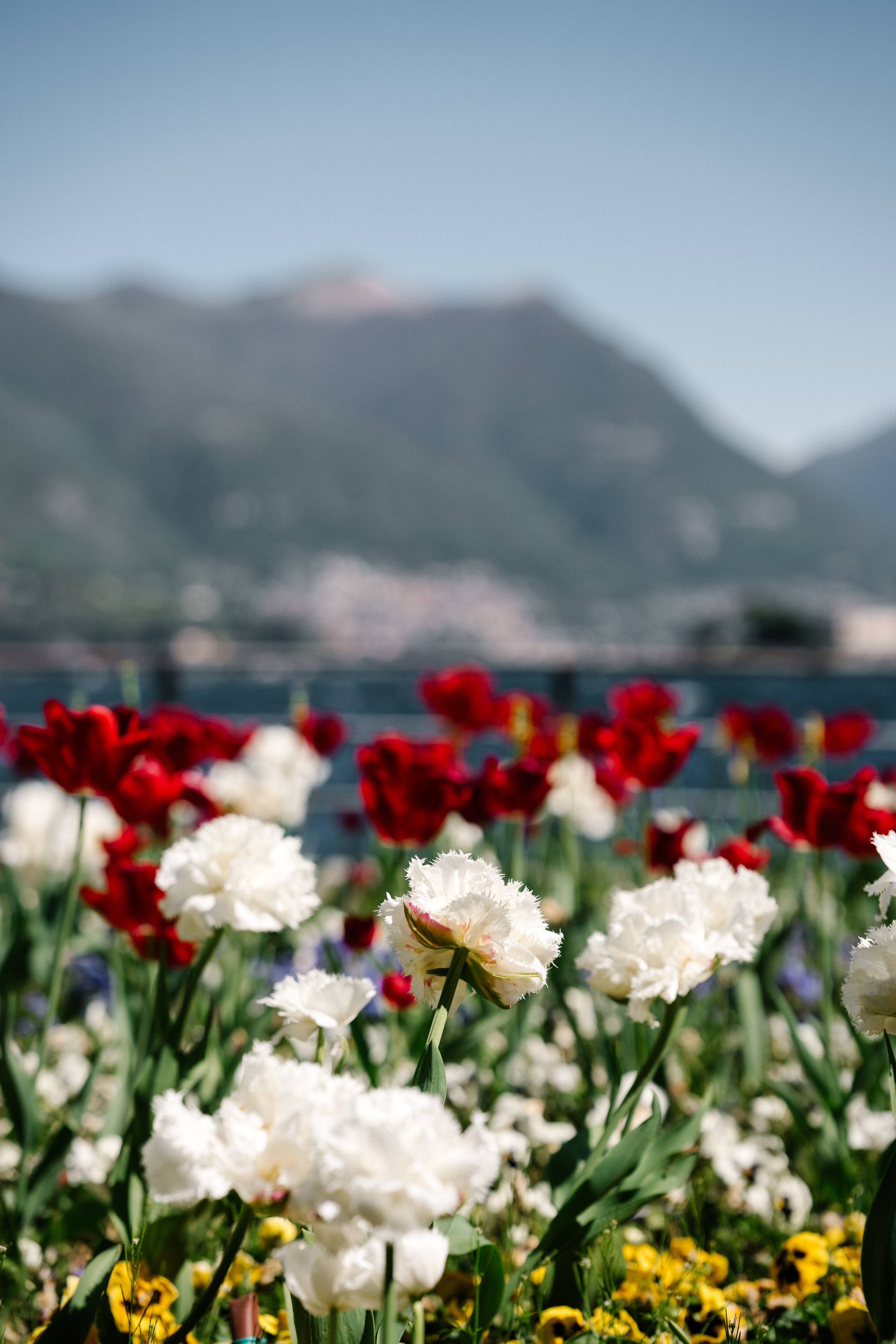 Pre-wedding. Свадебный фотограф Виктория Саврук