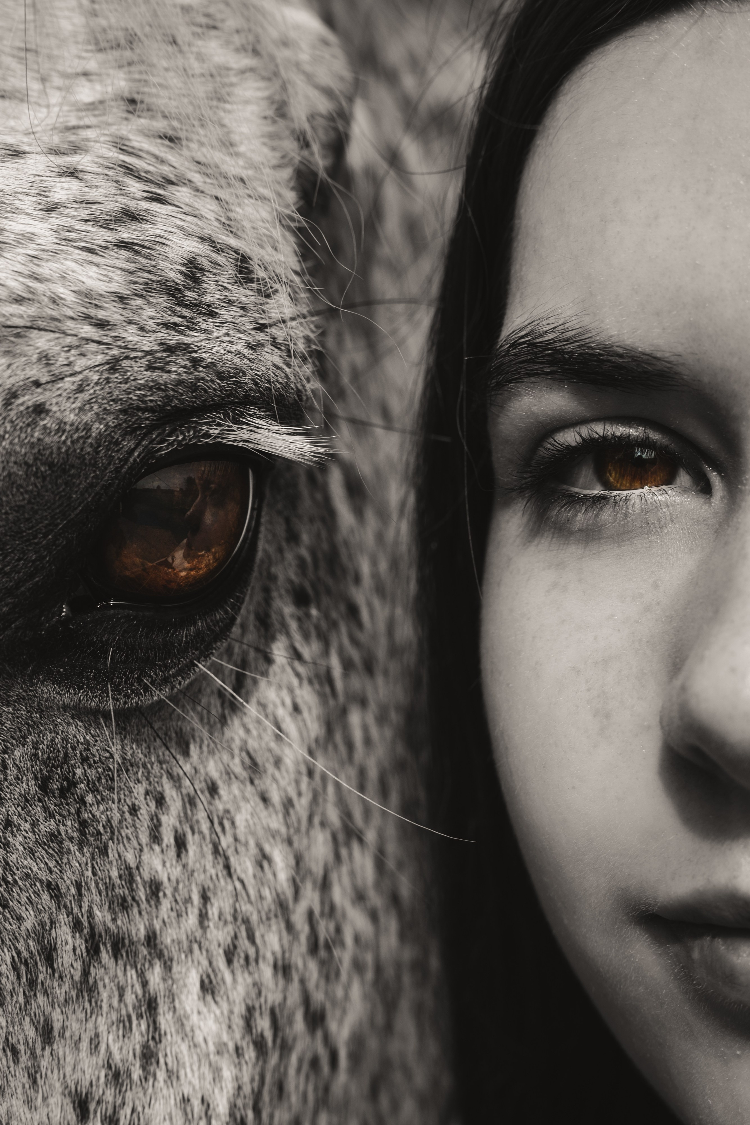 Pferdeshooting - Lara. Thorben Ihler - Dein Fotograf aus Emden