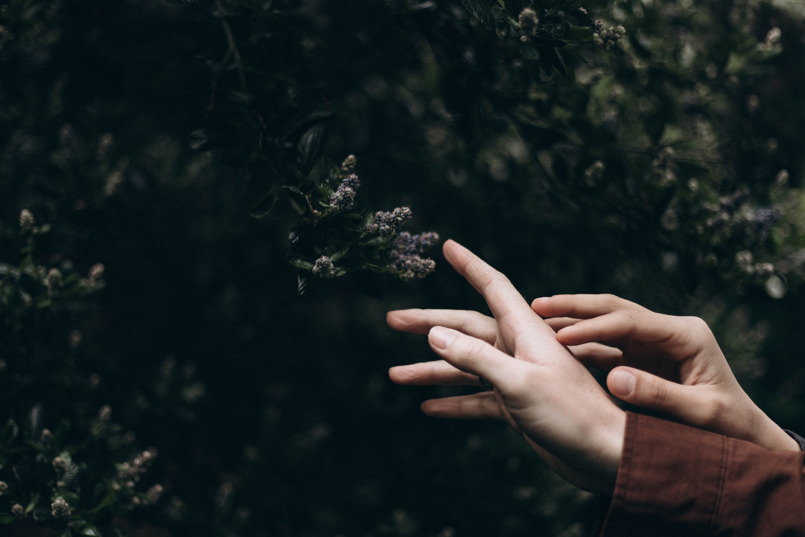 Shabnam Tavoosi, Photographer in Berlin