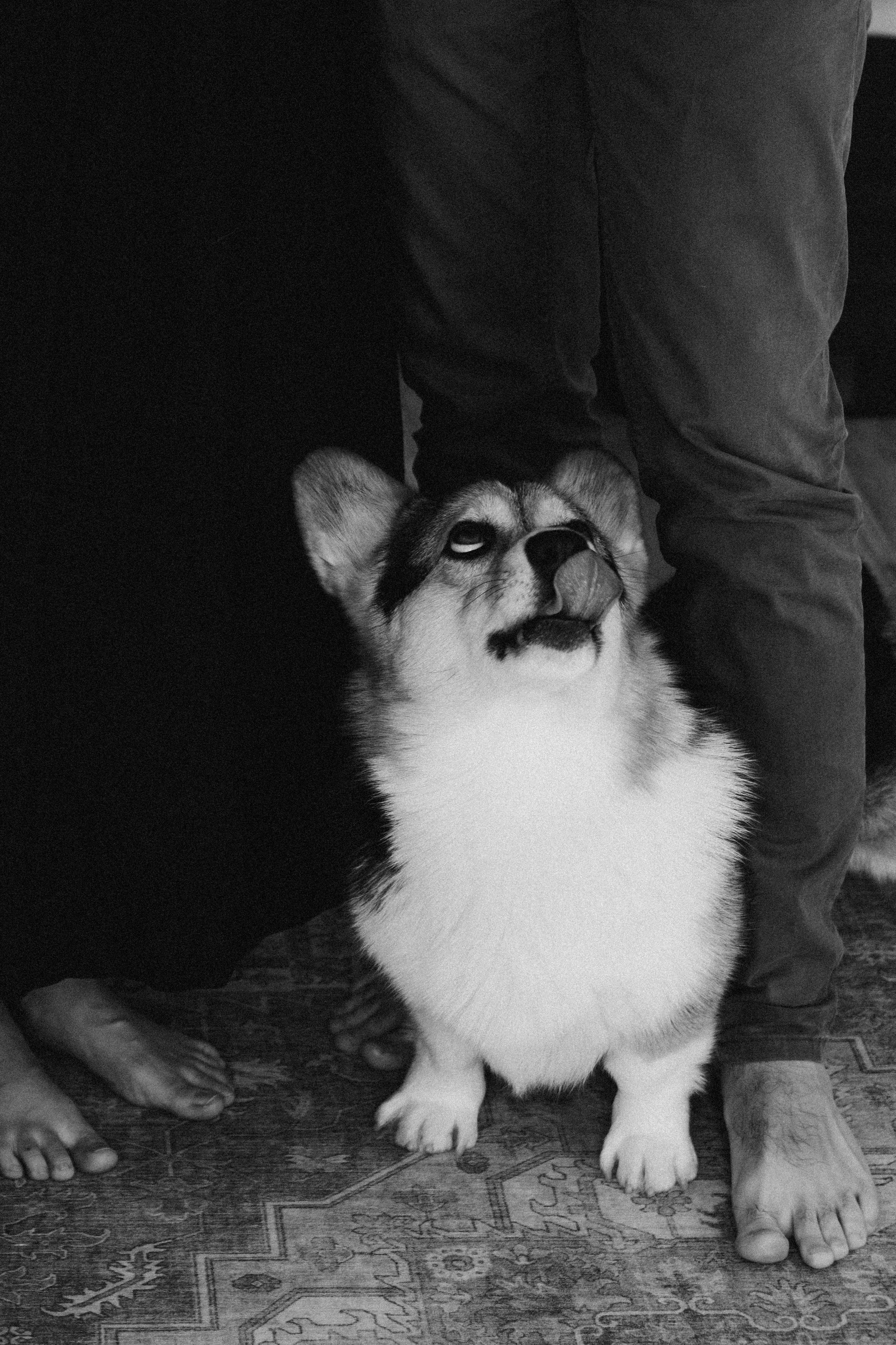 Kirill Inga Lea & Methodius. Фотографы Минск и мир