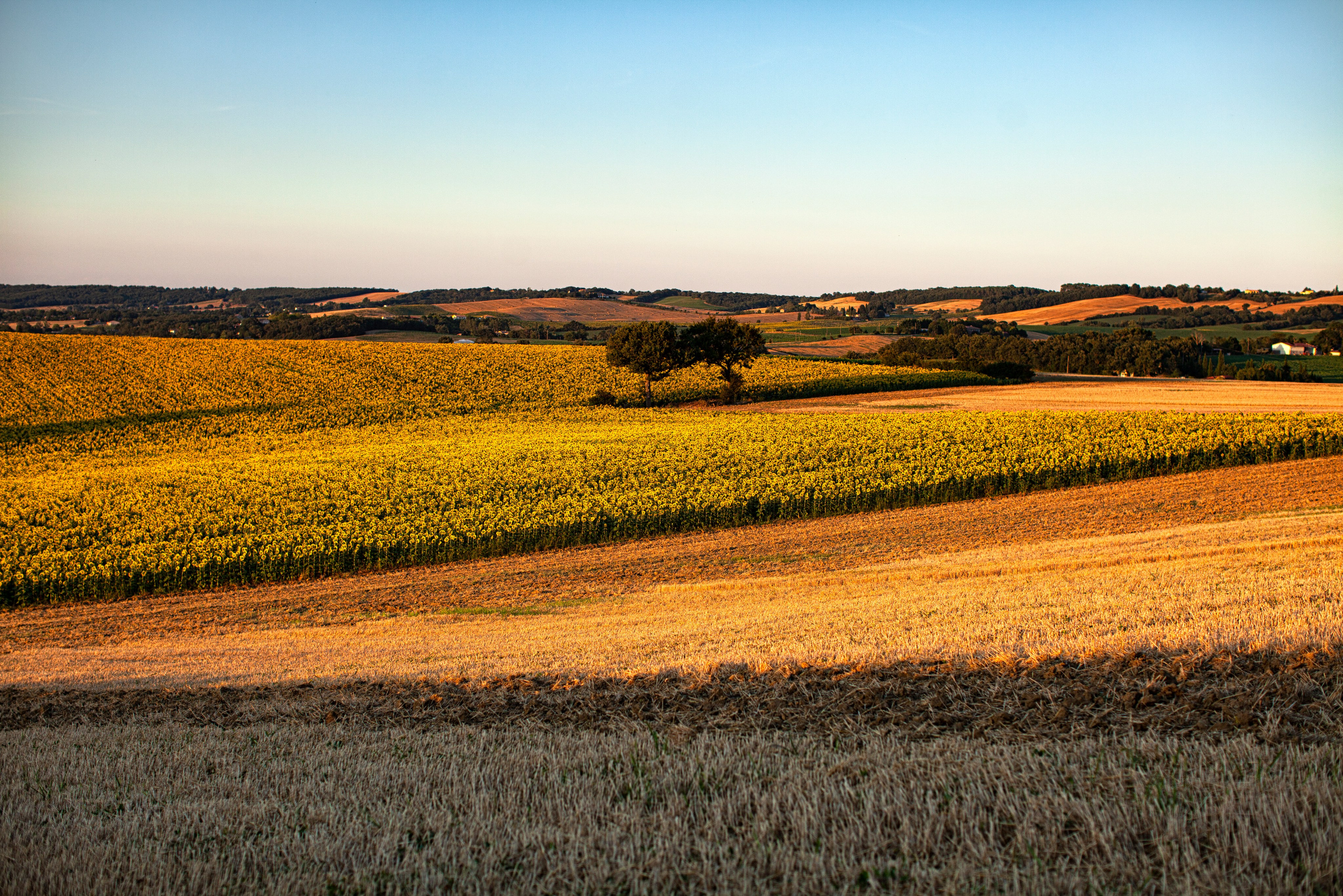 Toulouse. Eugénie Smirnova — Photographe à Toulouse et dans le Sud-Ouest