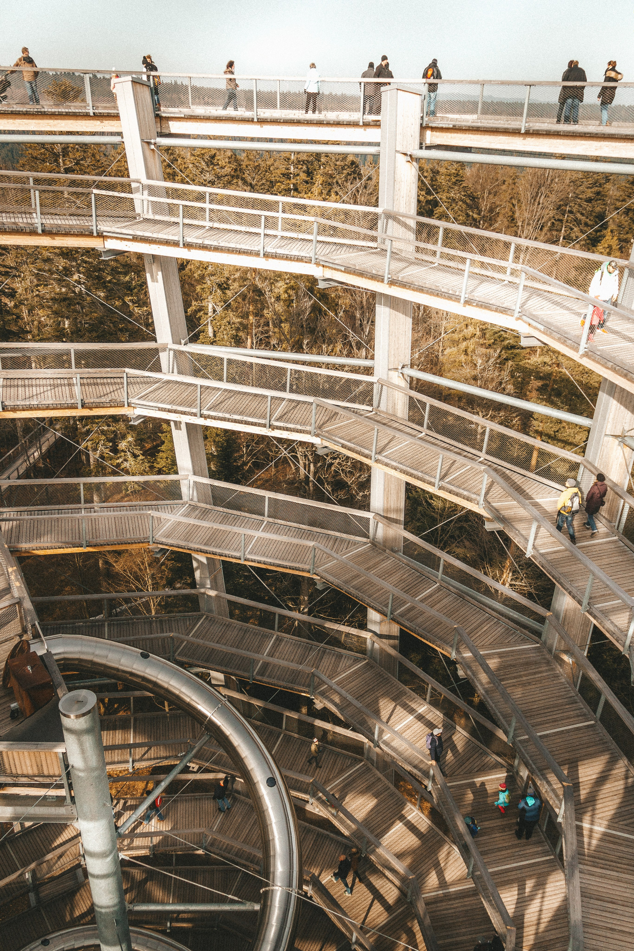 Над вершинами деревьев Baumwipfelpfad. Фотограф в Германии — Мария Чистякова