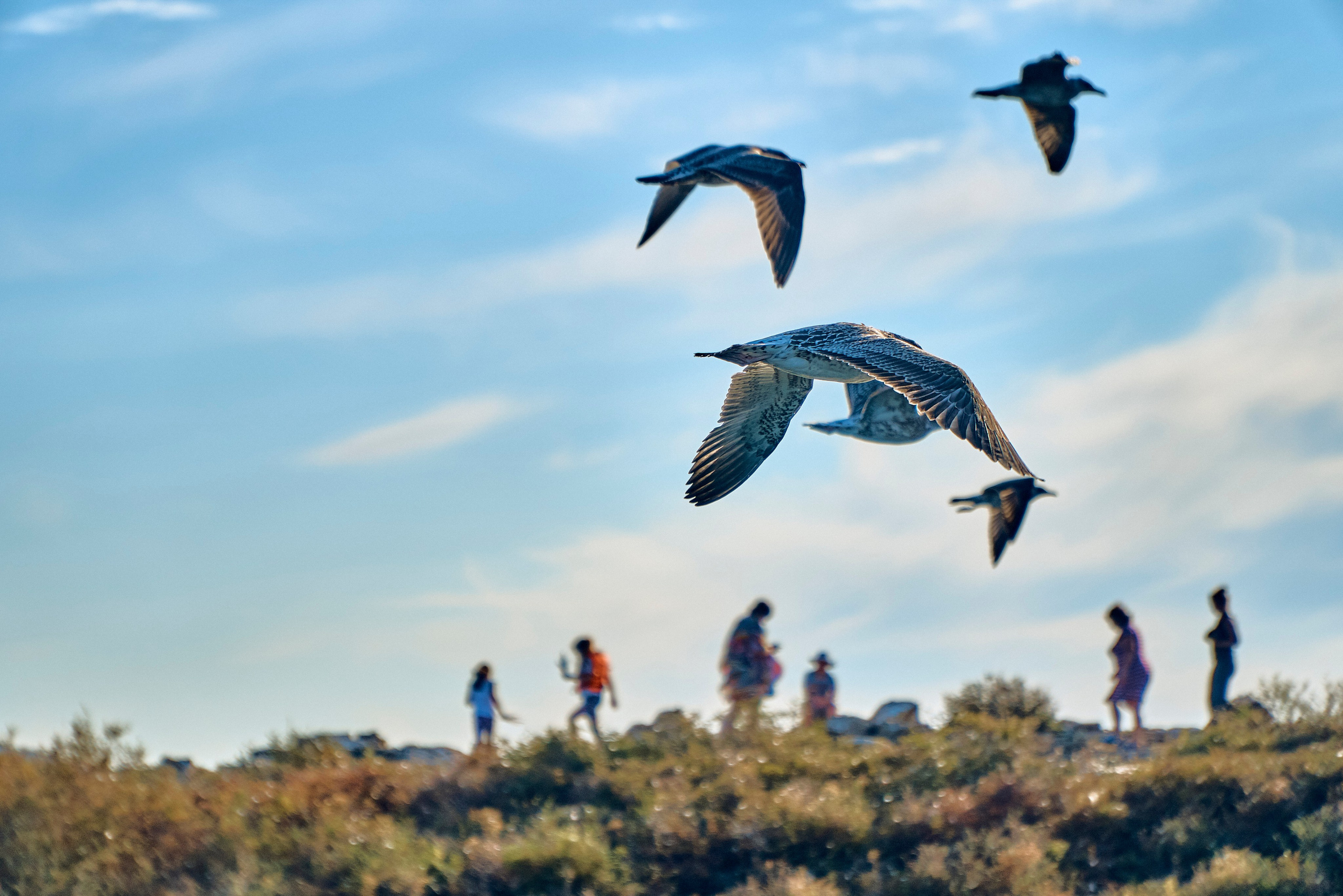 Бухтарма. Андрей Шипилов — Фотография & Видеография