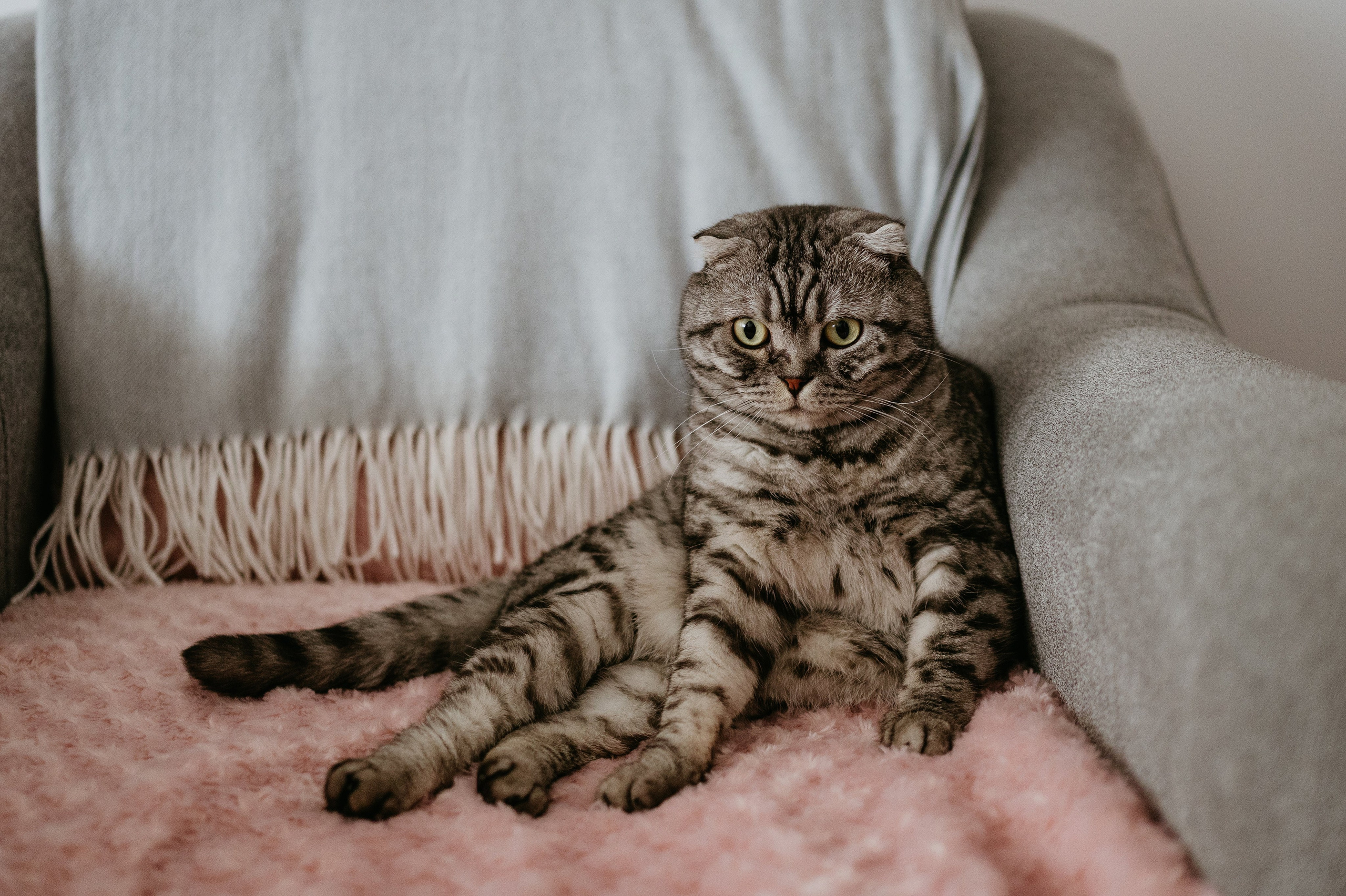 Adina și Ciprian. Valentin Melen - fotograf de nunta 🤍