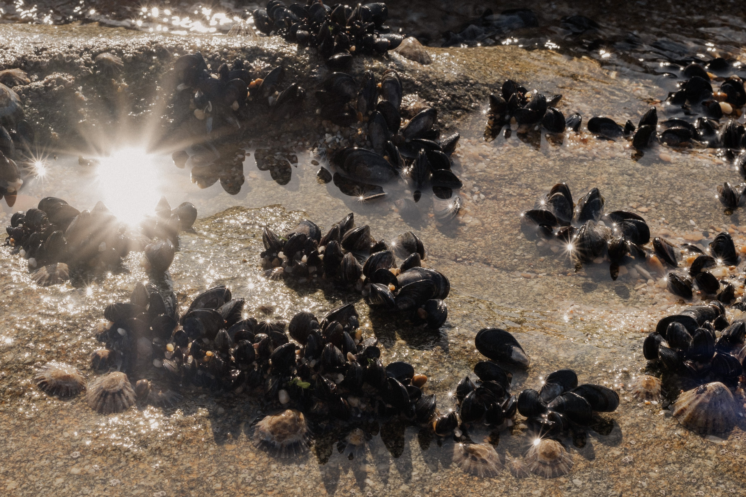 Zuhause im Herzen | Shooting an der Ozeanküste. Фотограф в Нюрнберге Ирина Менерт из Ансбаха