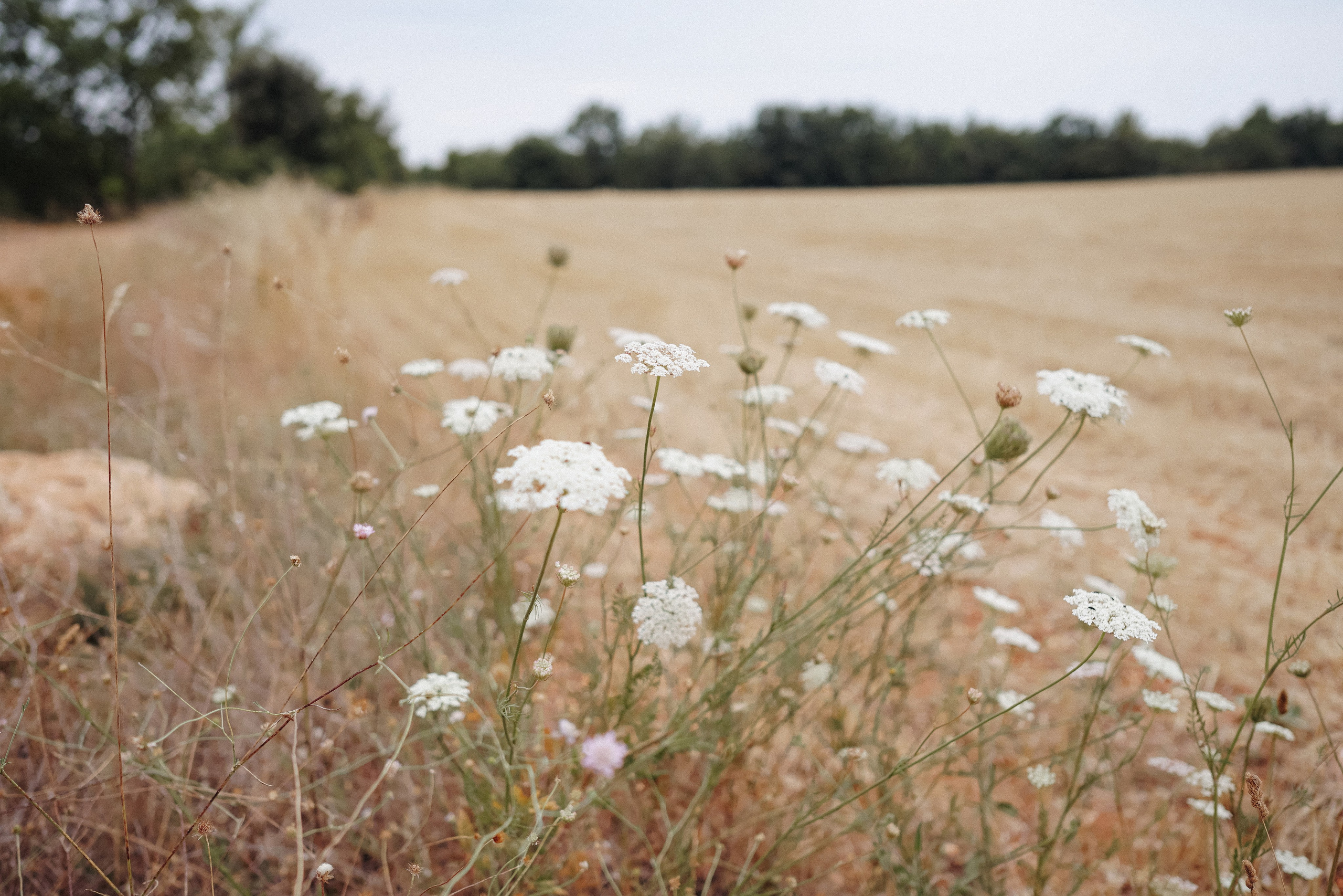 Photographe à la Seyne sur Mer, Var