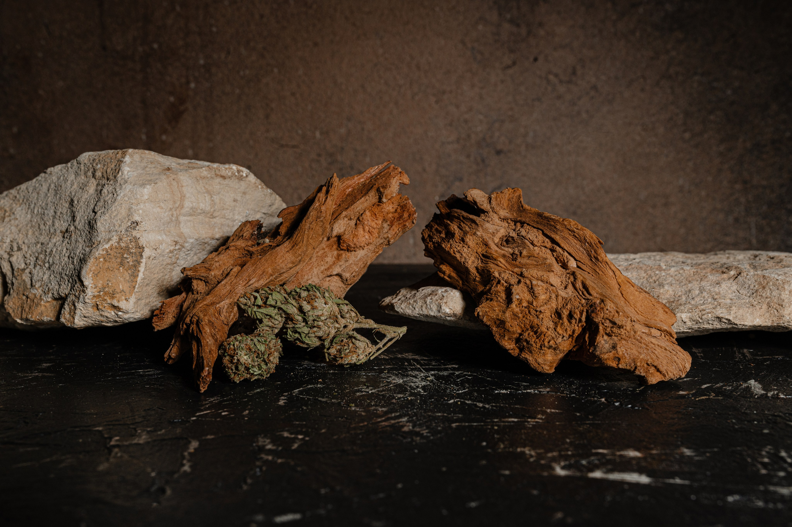 CannaXlife CBD products. ANNA-MARIA PHOTO CONTENT CREATOR — фотограф, естет, художник і візуальний експерт Instagram у Празі