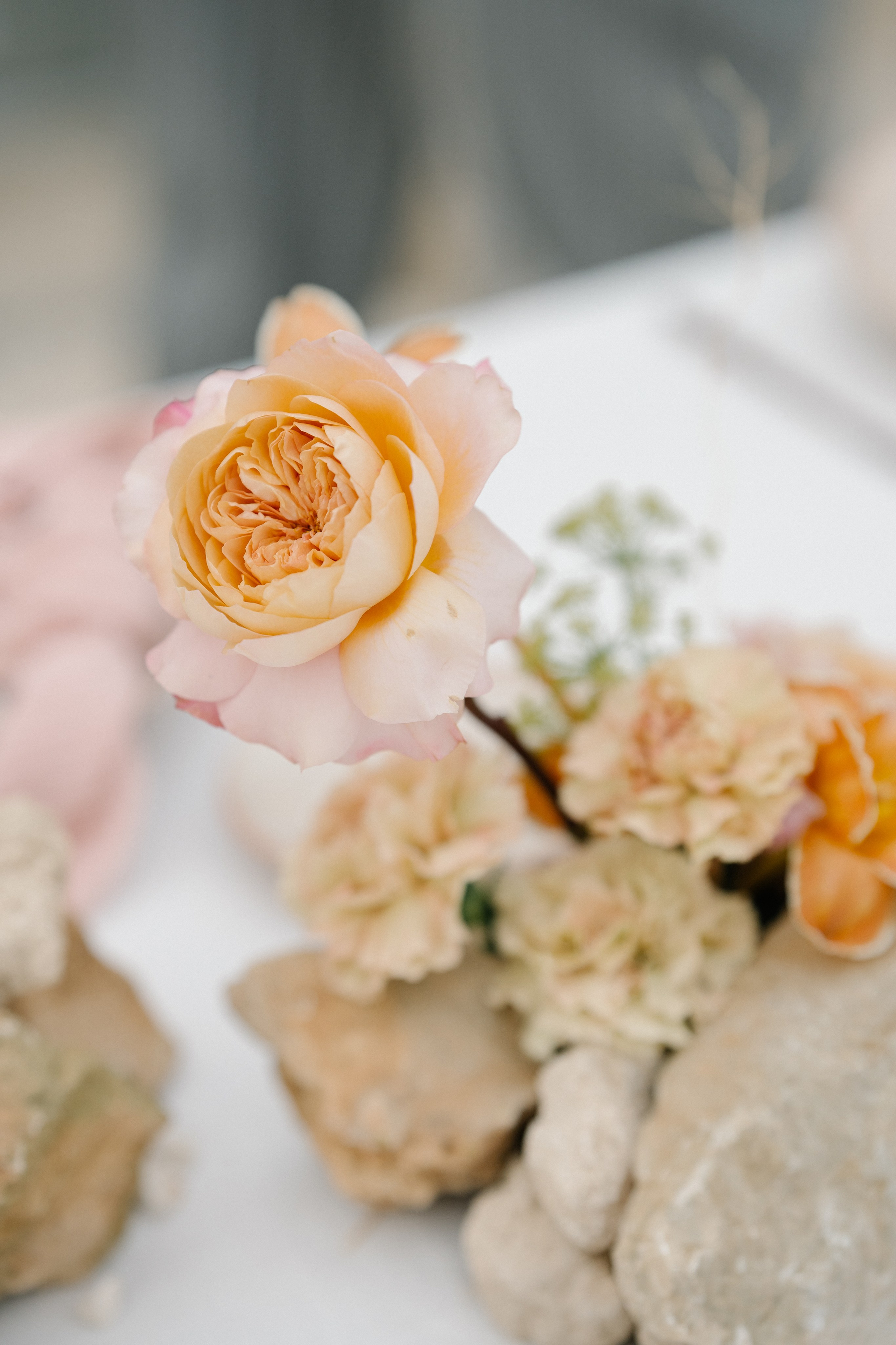 Alyssa&Sean. Весільний фотограф Вікторія Саврук