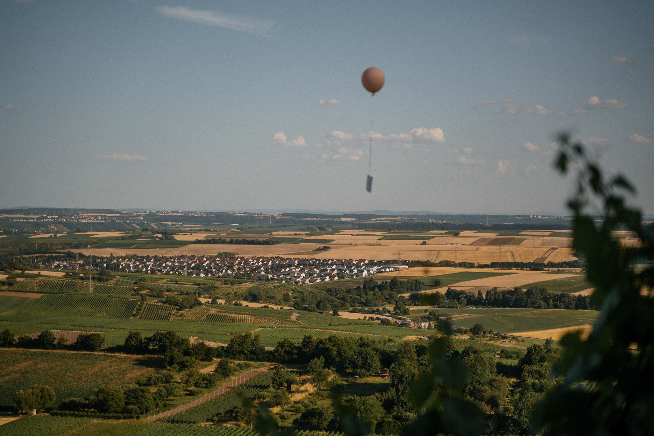 Heuchelberger Warte. Wedding photograper — Alex Popov photography Germany, Switzerland, Italy, France. Based in Stuttgart