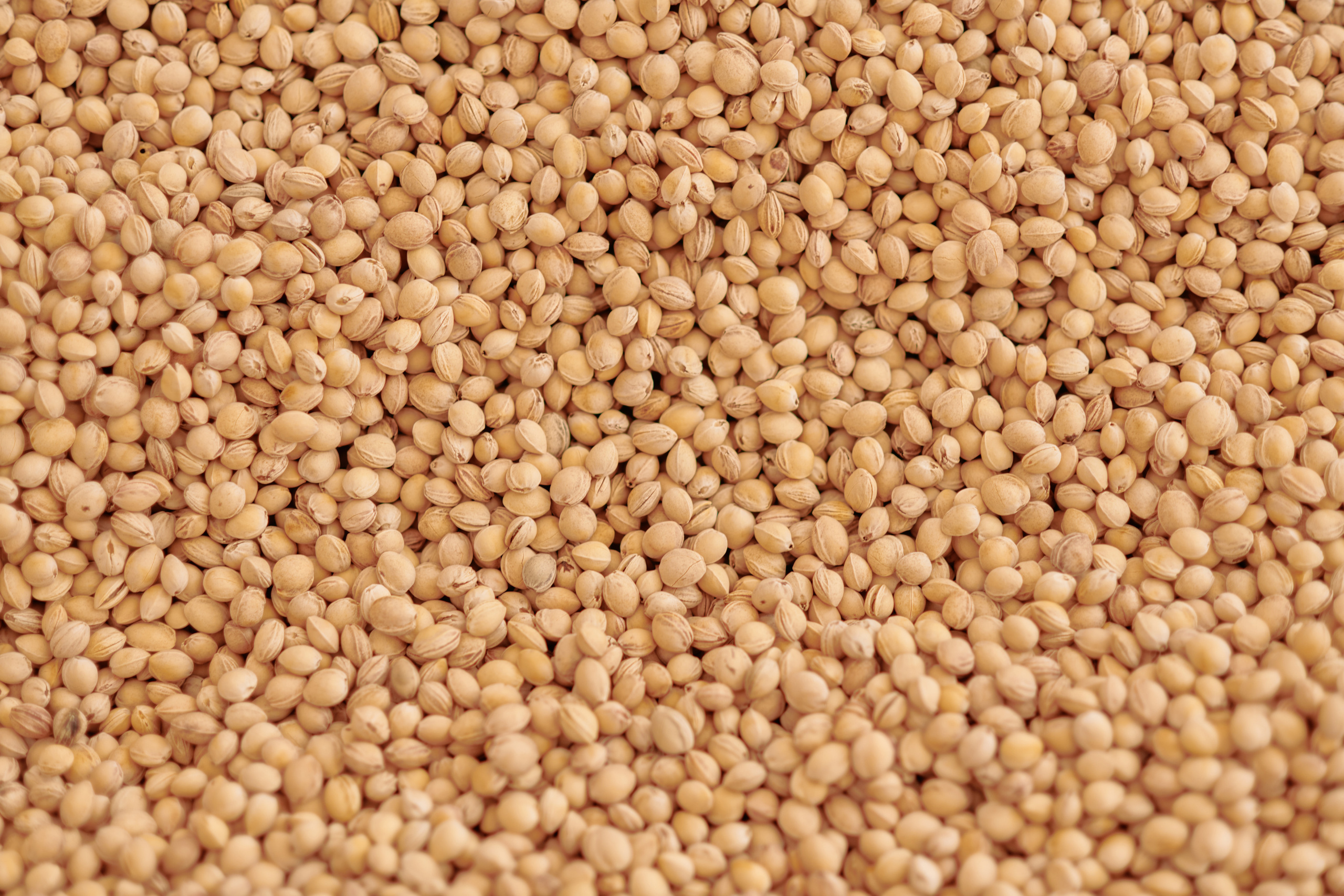 Kleintjekunst training. Fotograaf Amsterdam - Victoria Ushkanova