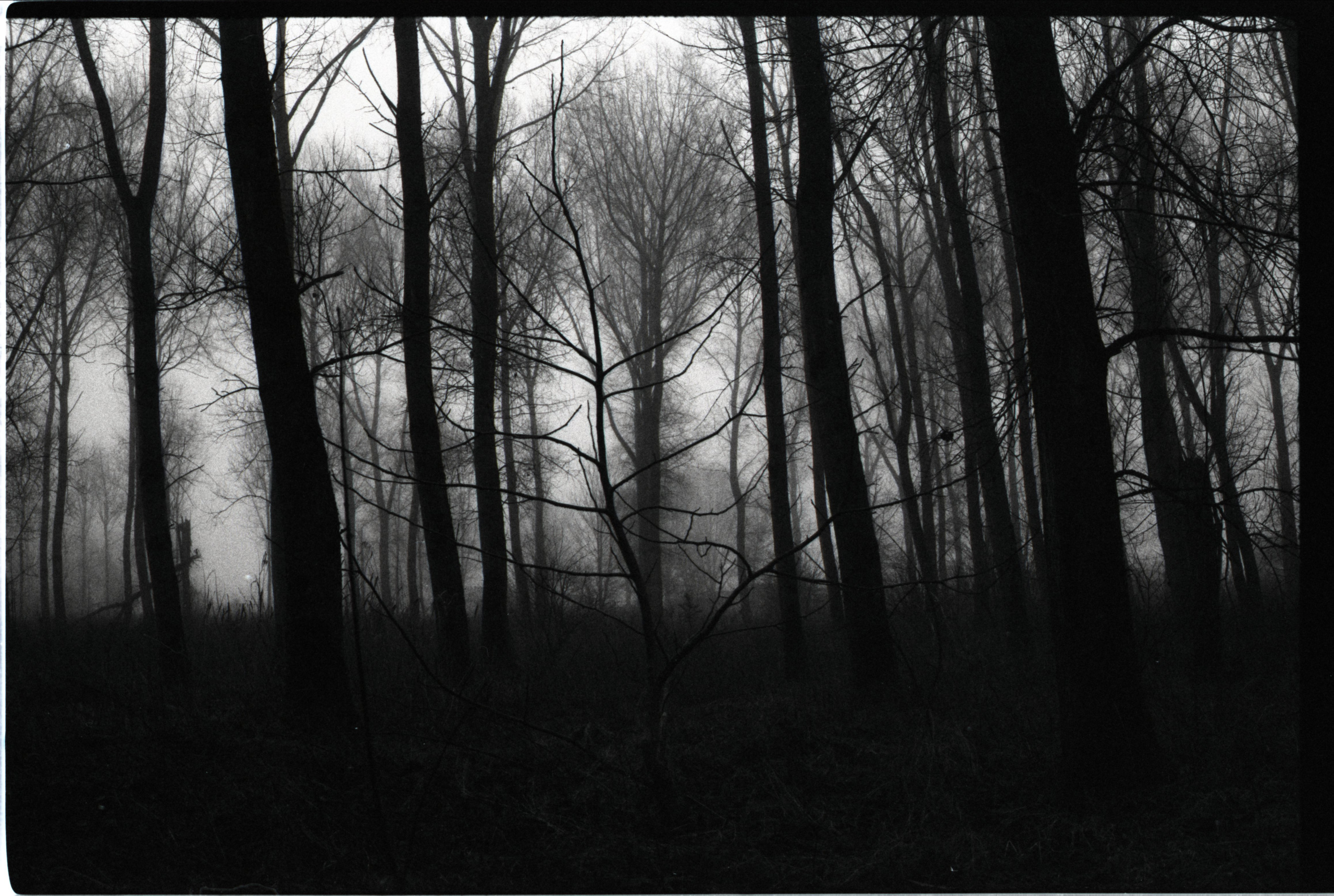 Oosterwold. Fotograaf Amsterdam - Victoria Ushkanova